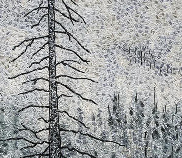 first snow close1.jpg