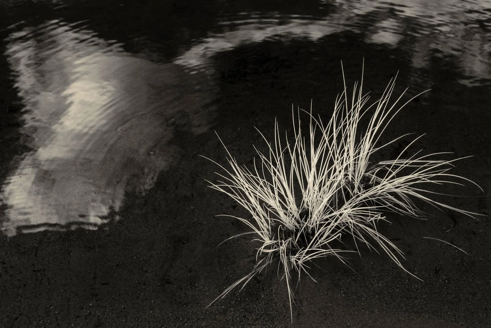 Tim Aston, Real and Reflected