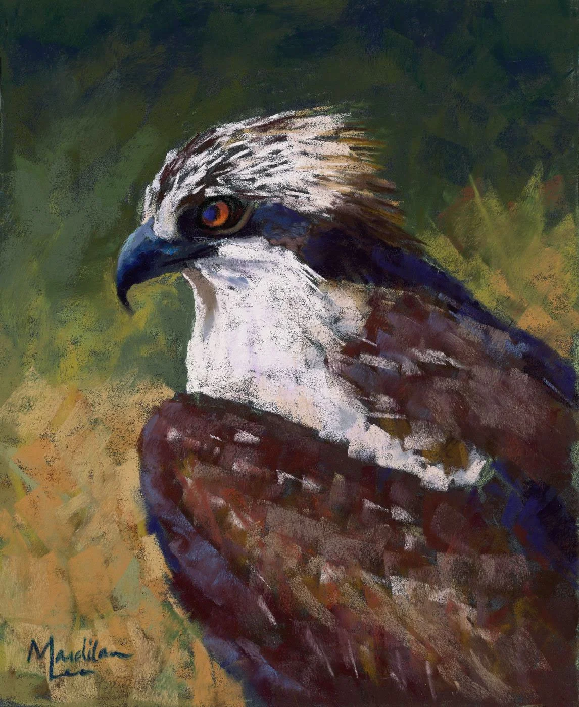 Mardilan Georgio, The Osprey