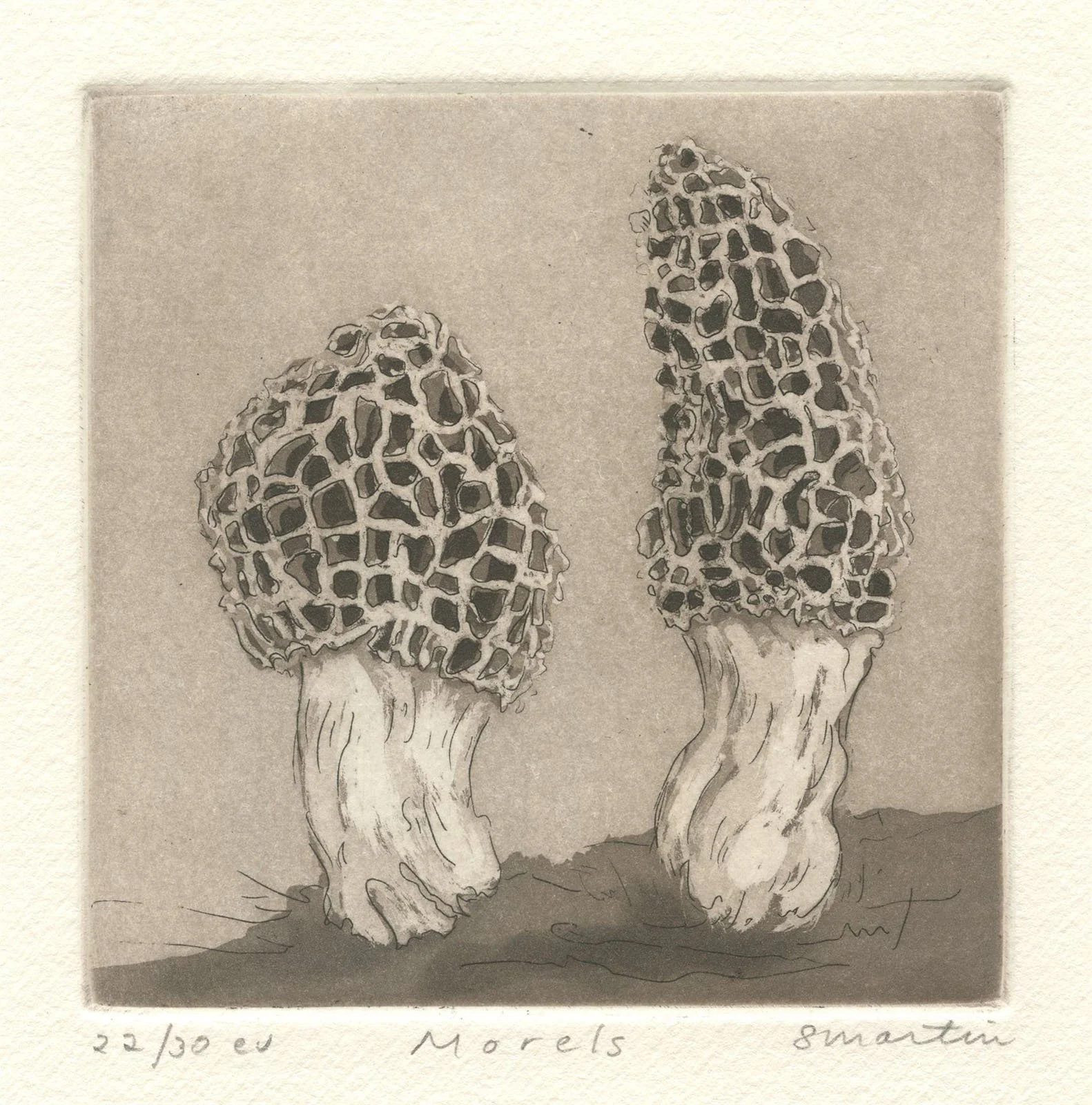 Stephanie Martin, Morels