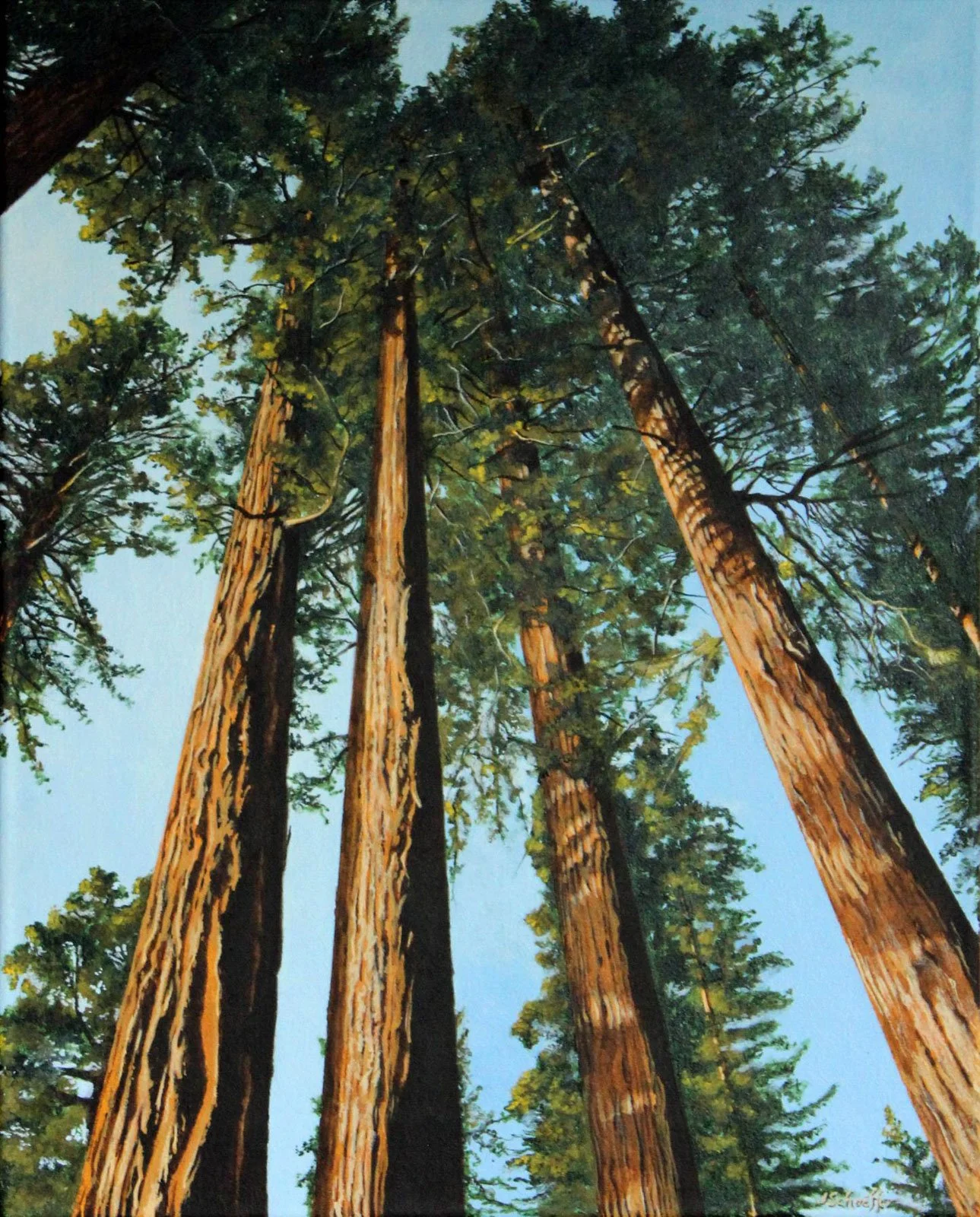 John Schaeffer,  Reach for the Sky
