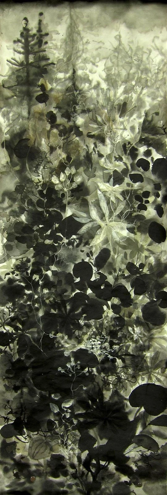Andie Thrams, For the Interconnection of All Beings