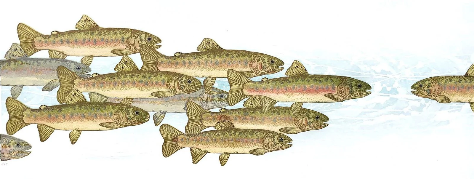 Monique Wales, Swimming Upstream