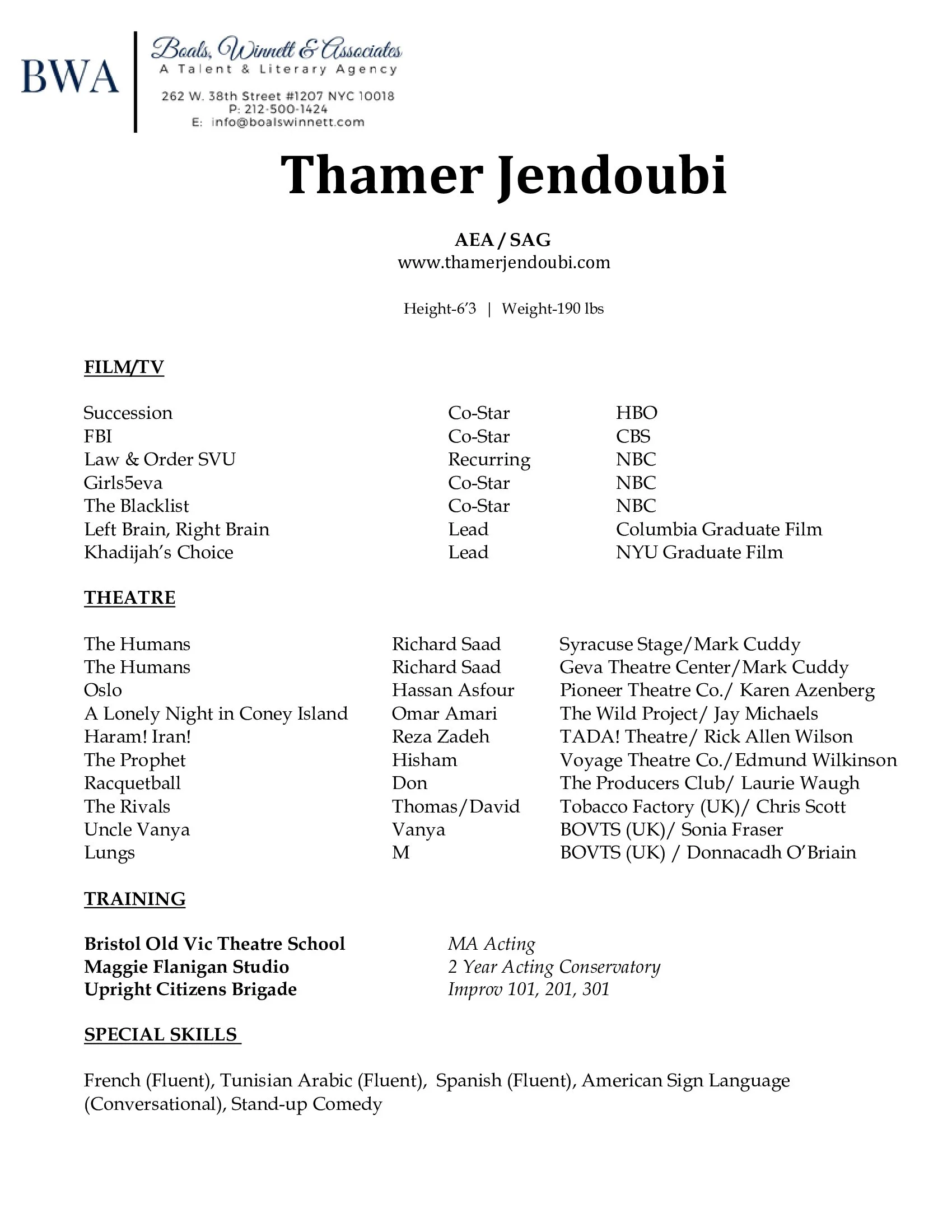 Resume — Thamer Jendoubi
