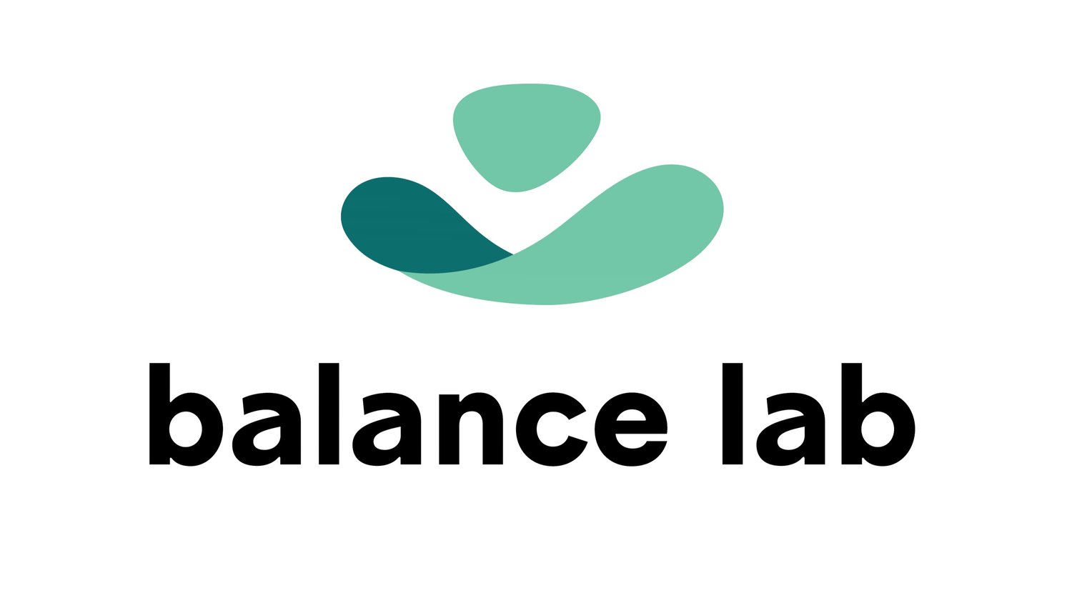 Balance Lab
