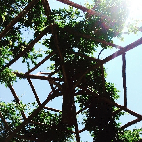 The sky is the limit.