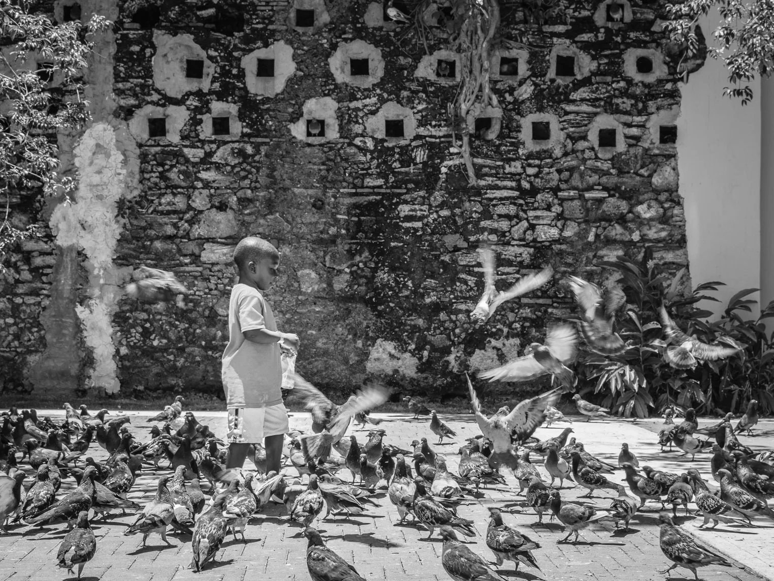 Parque de las Palomas