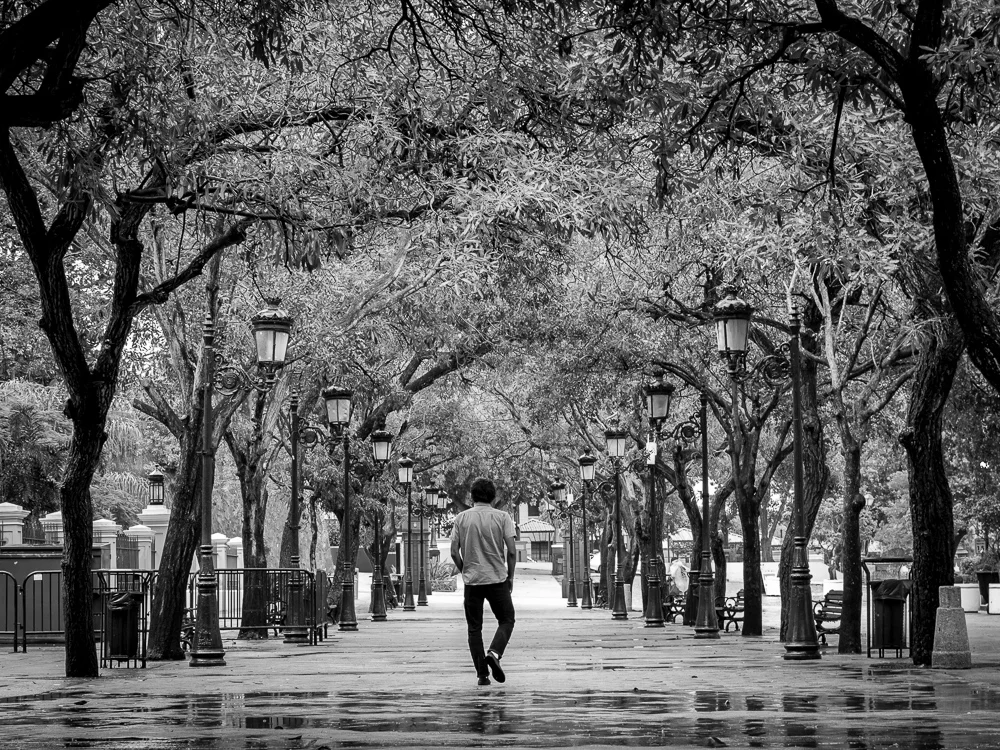 Afternoon walk