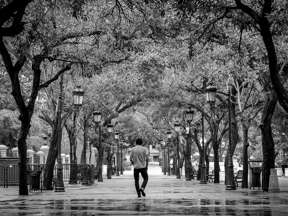 Afternoon walk