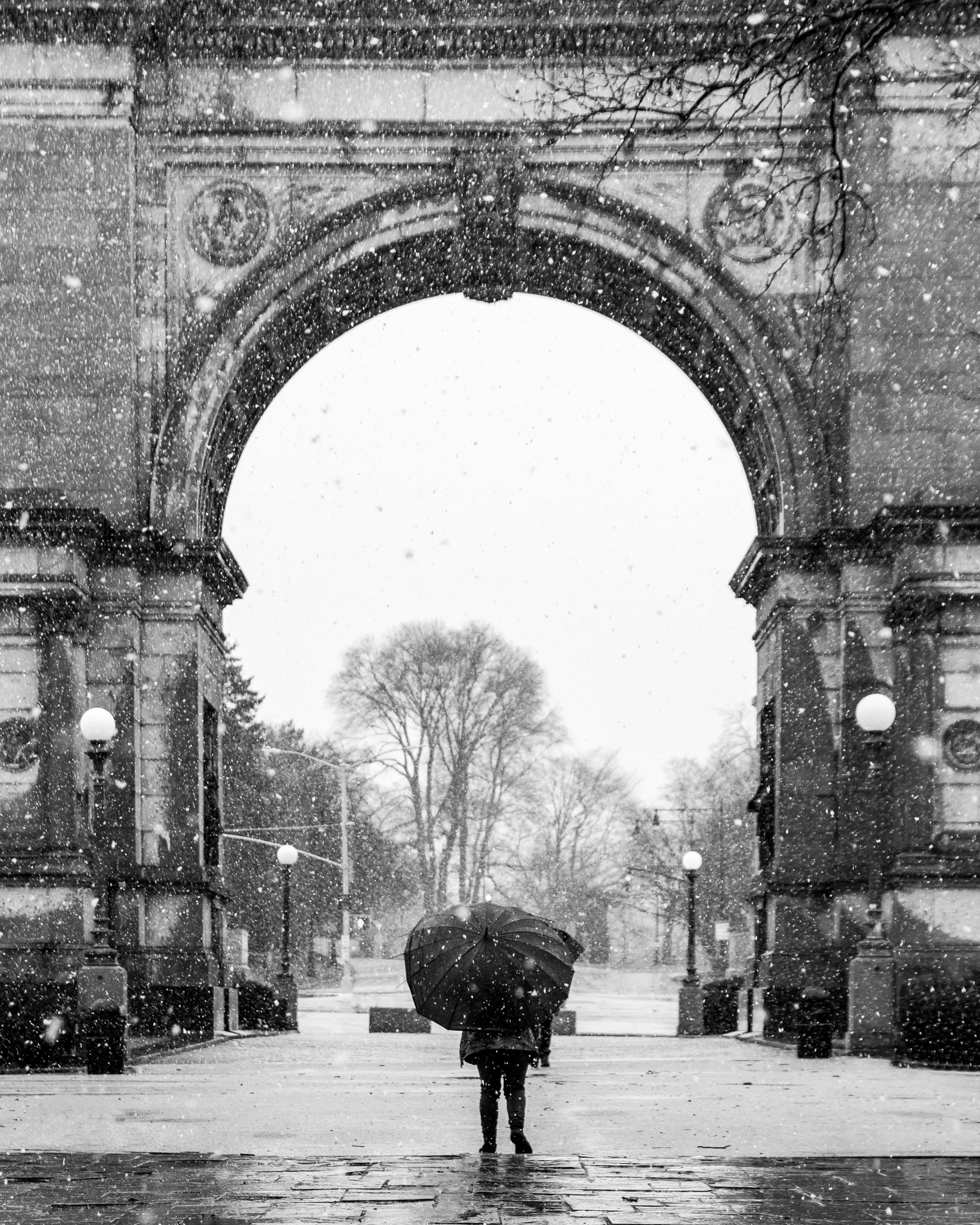 Snowy Morning