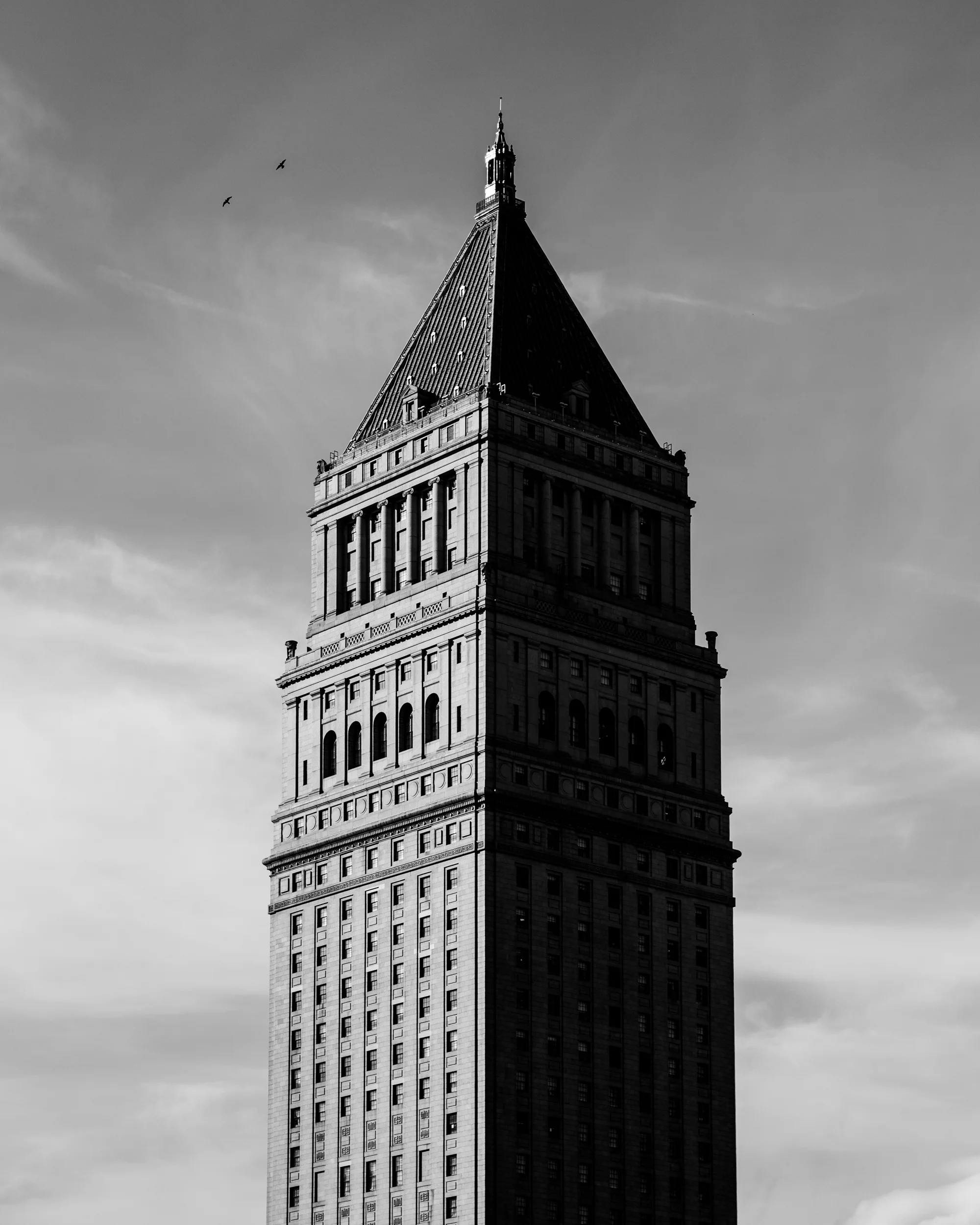 DSC_0534.jpg