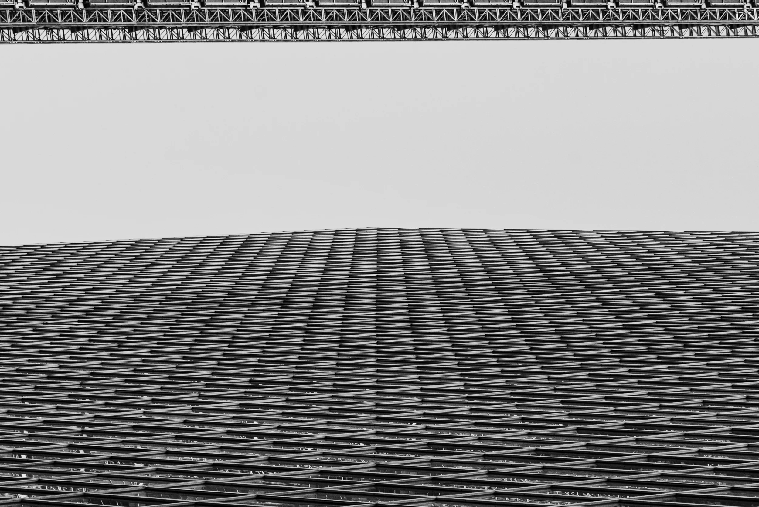 DSC_2567.jpg