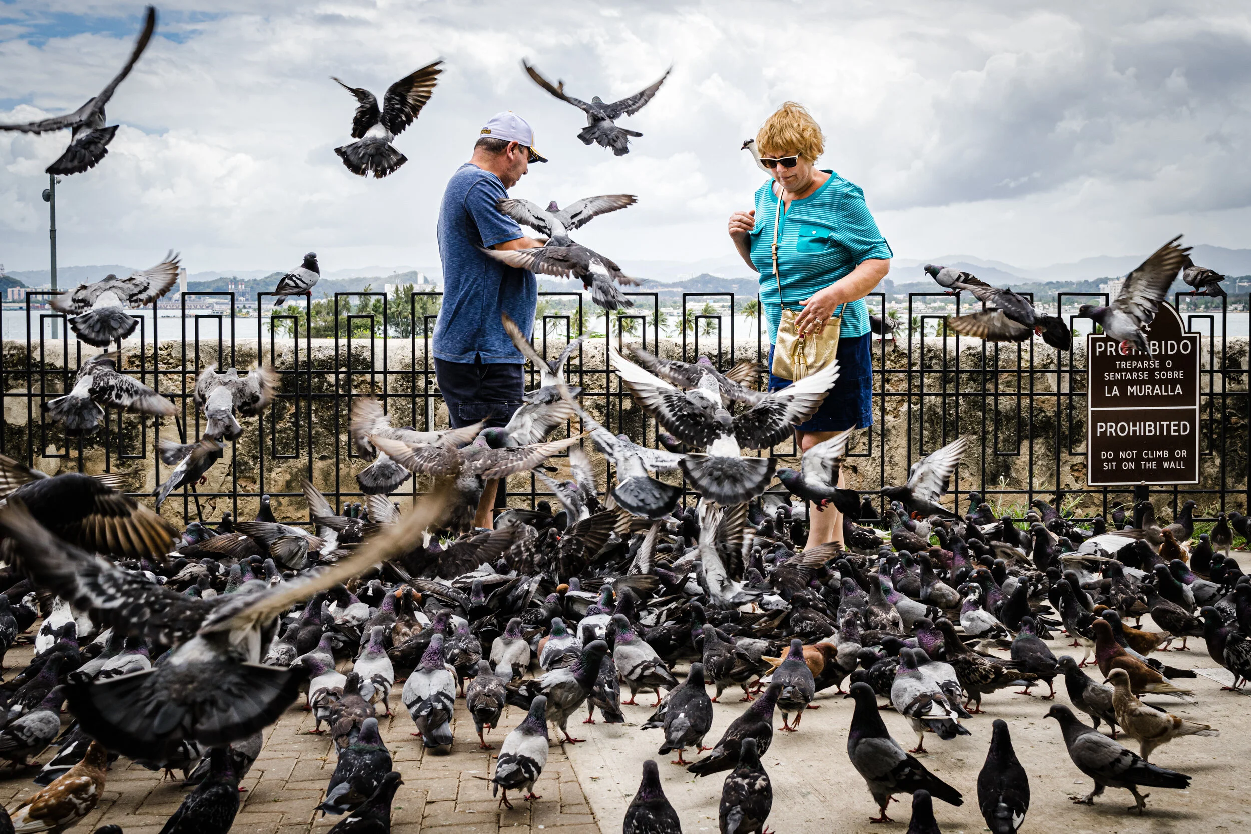 Parque de las Palomas