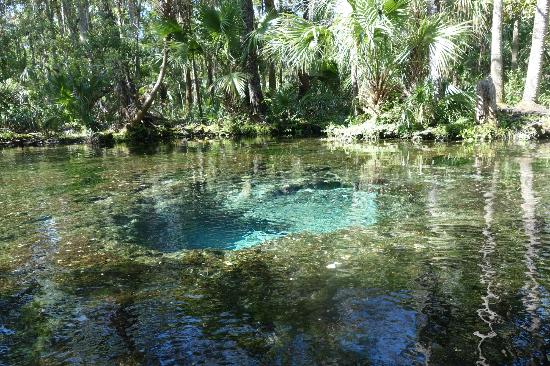 Paddle Tour Three Sisters Spring