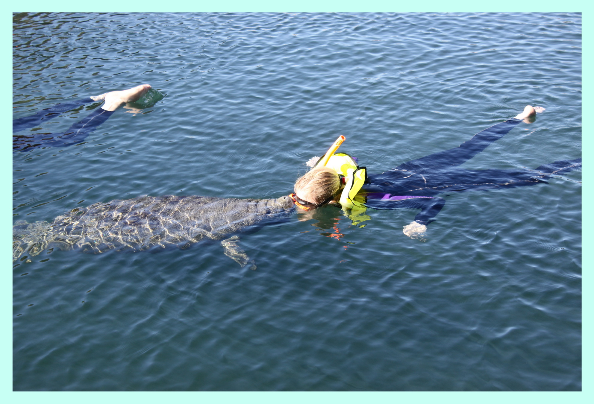 River Ventures Private Group Manatee Tour