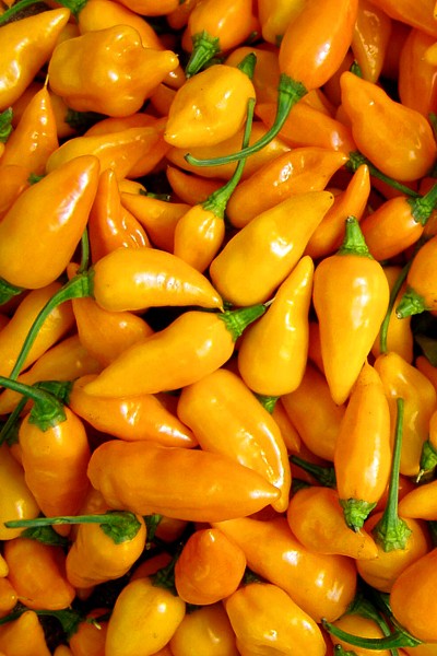 Hot Peppers