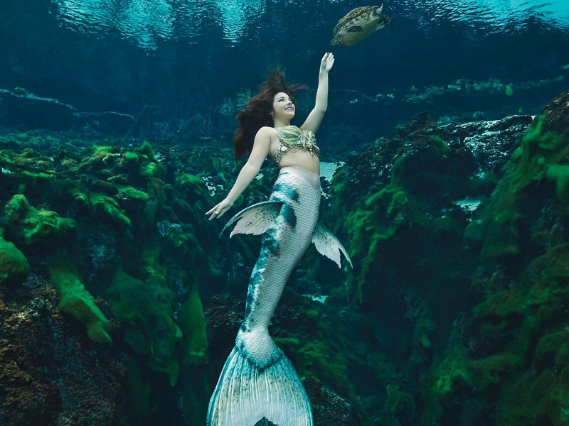 Credit: facebook.com | Weeki Wachee Springs State Park