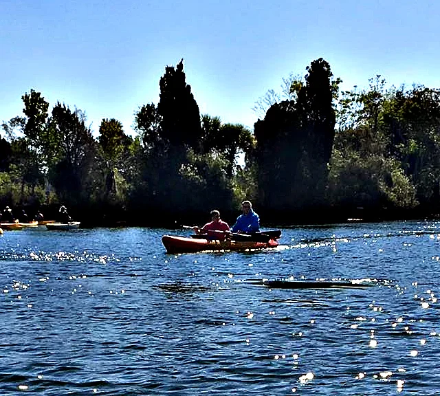 Crystal River 8 Things You Must Do Crystal River Homosassa