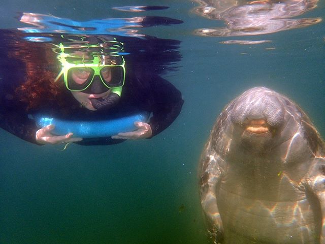 Just posing for a picture, nothing to see here!! 352-436-8628