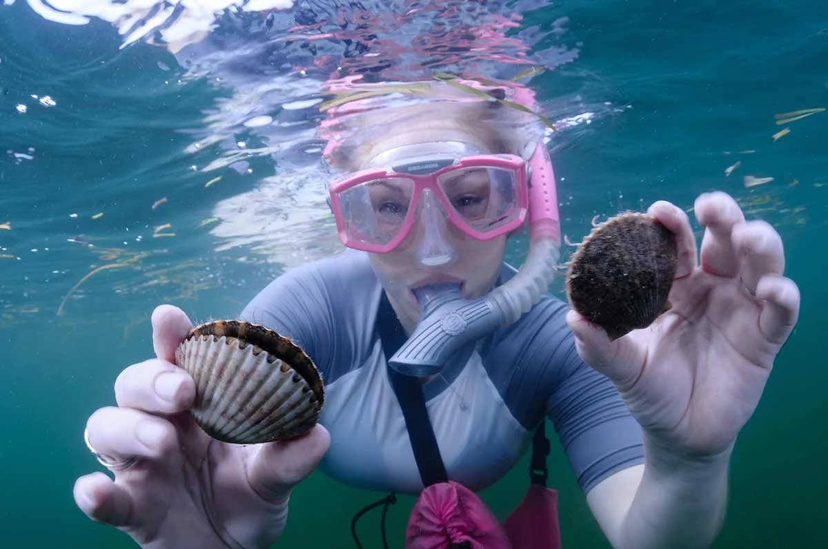 Scalloping Ridley Scalloping Season 2025: Dive into Summer with River Ventures — River ...