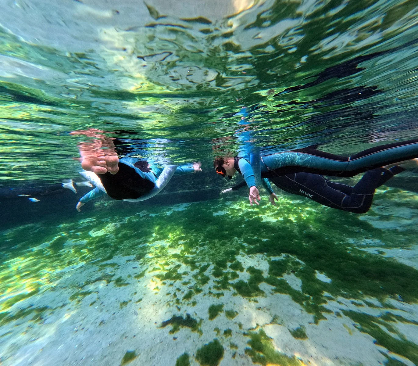 crystal river