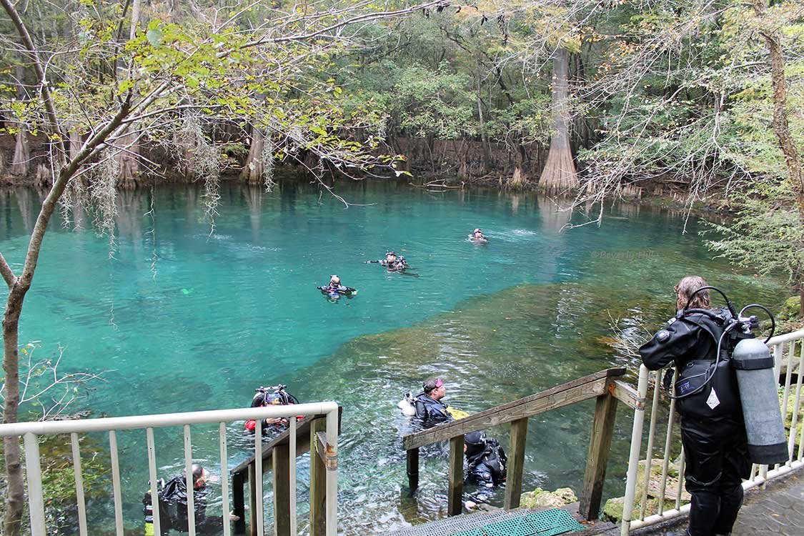 Manatee Springs State Park – Chiefland