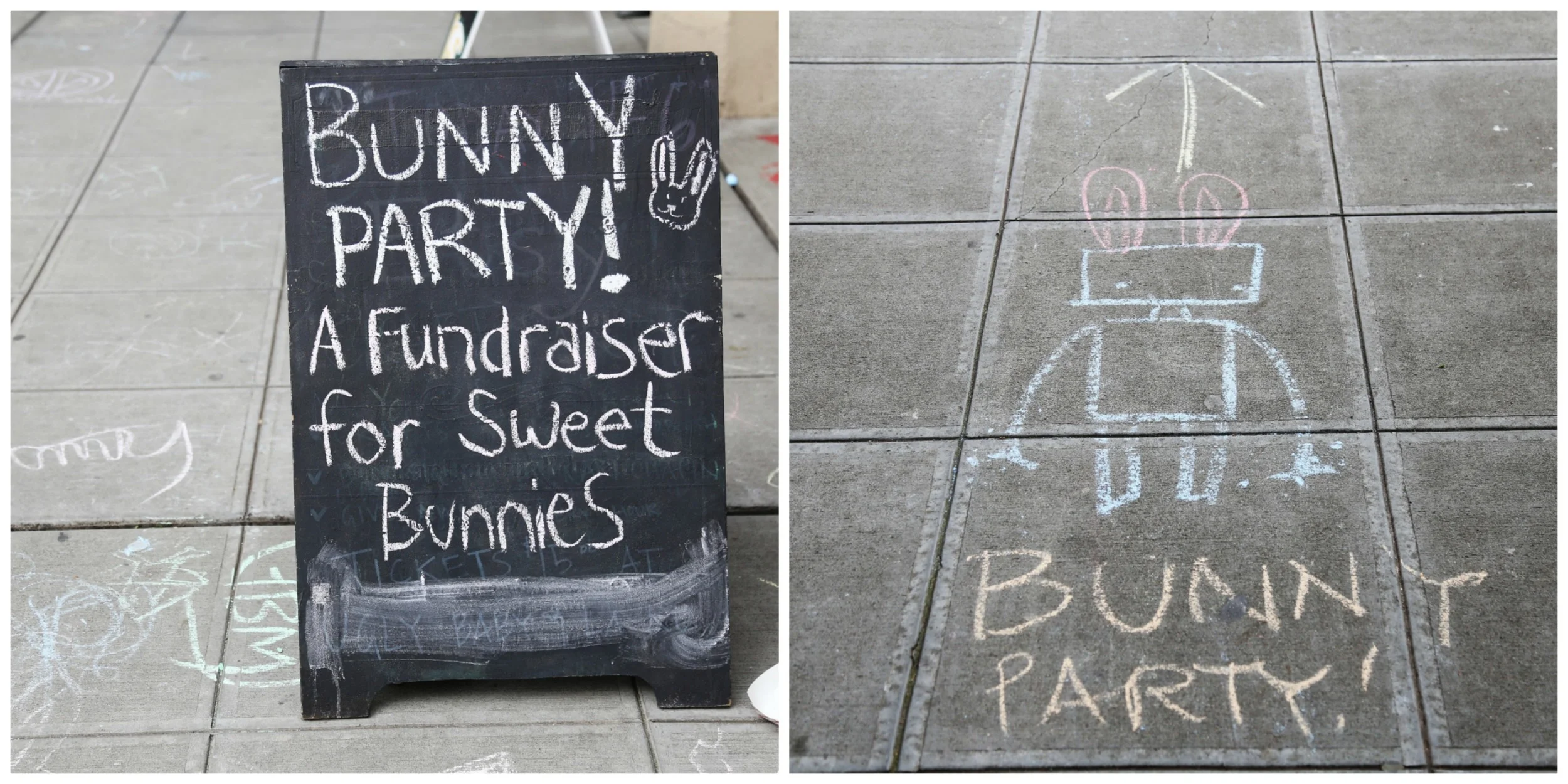 Who doesn't want to go to a bunny party?