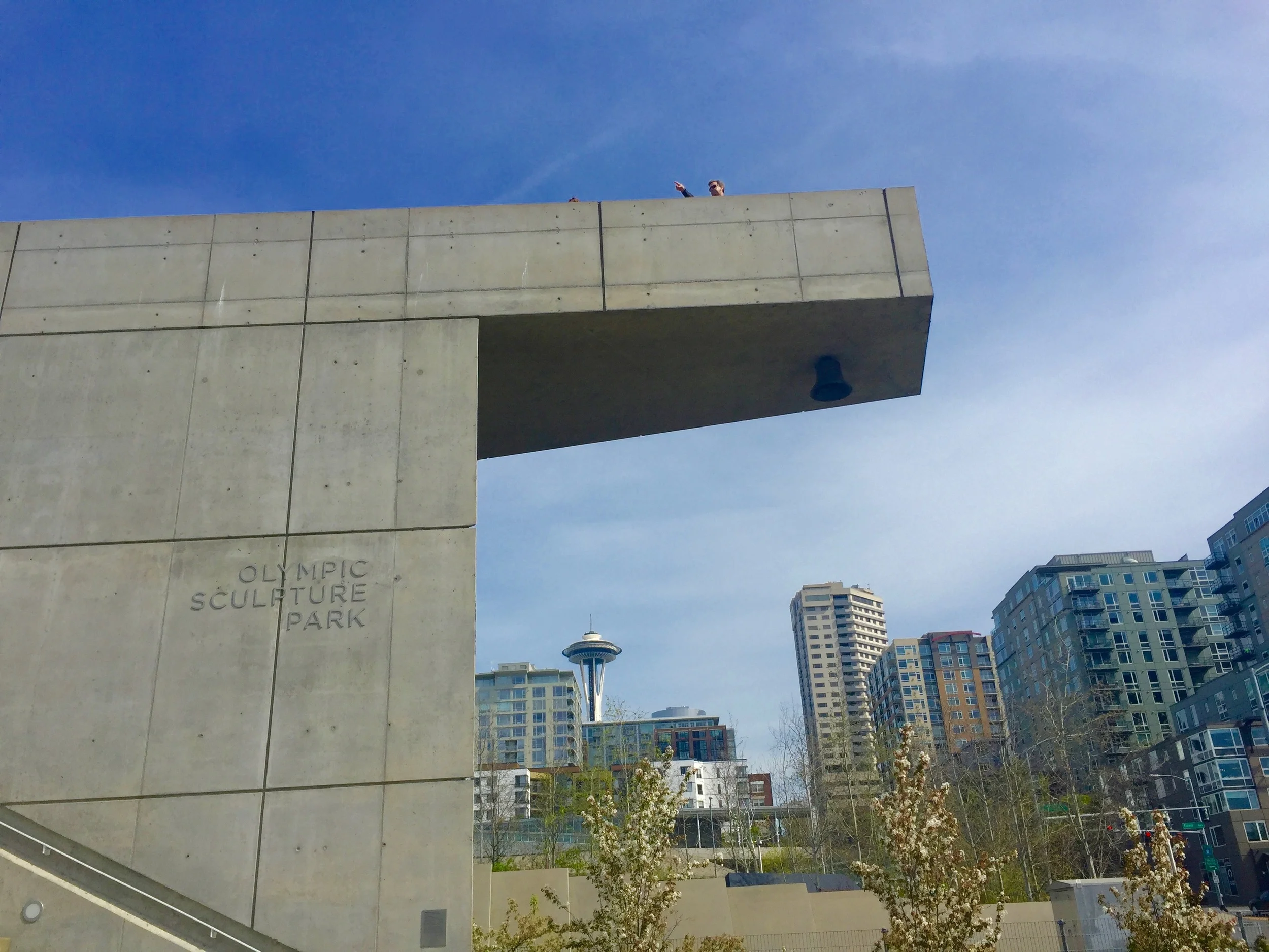This park is full of wonderful, sharp lines.