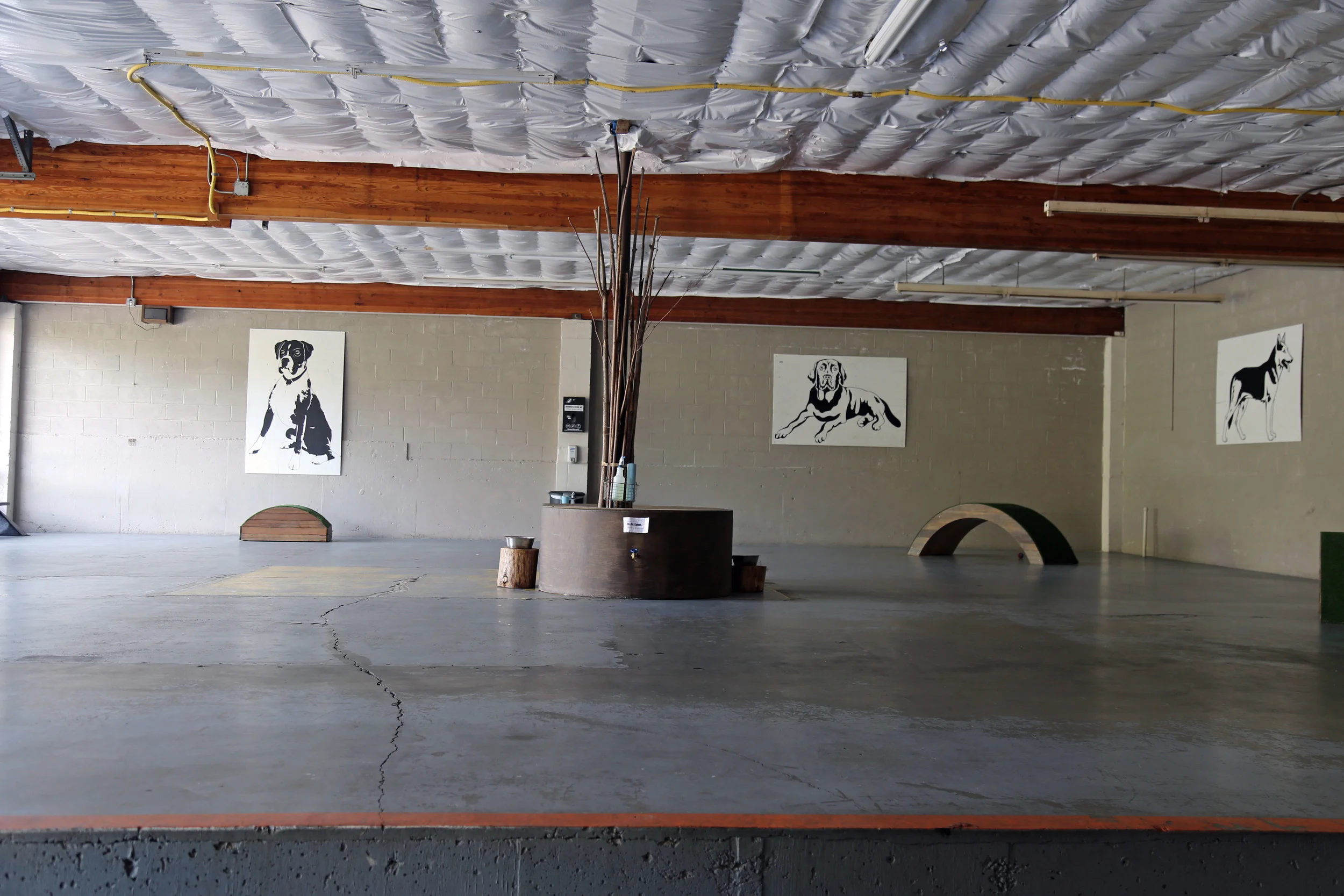 Dogwood is an indoor dog park making it perfect for those rainy and cold days.