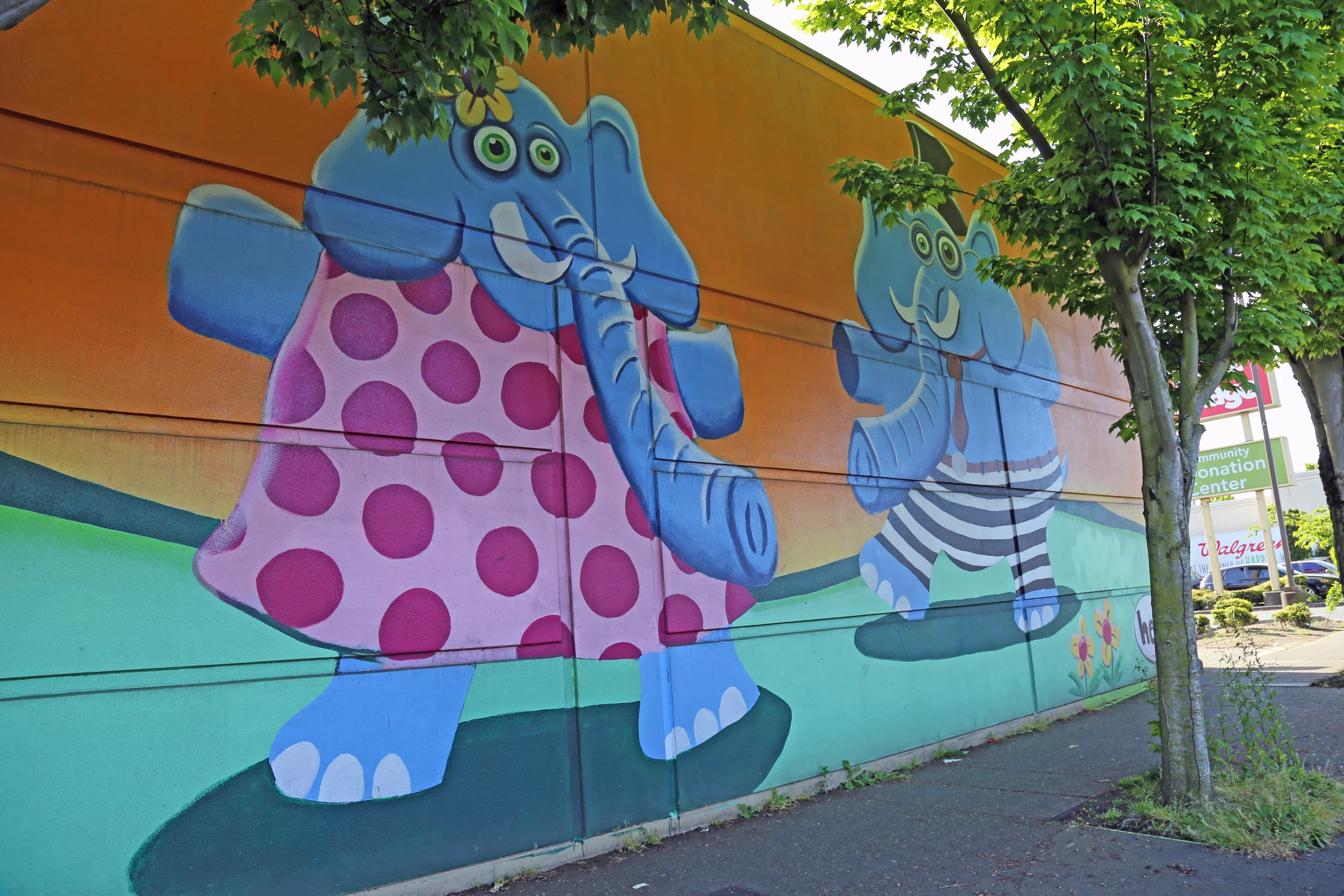 Elephants found at Value Village at 8532 15th Ave. NW