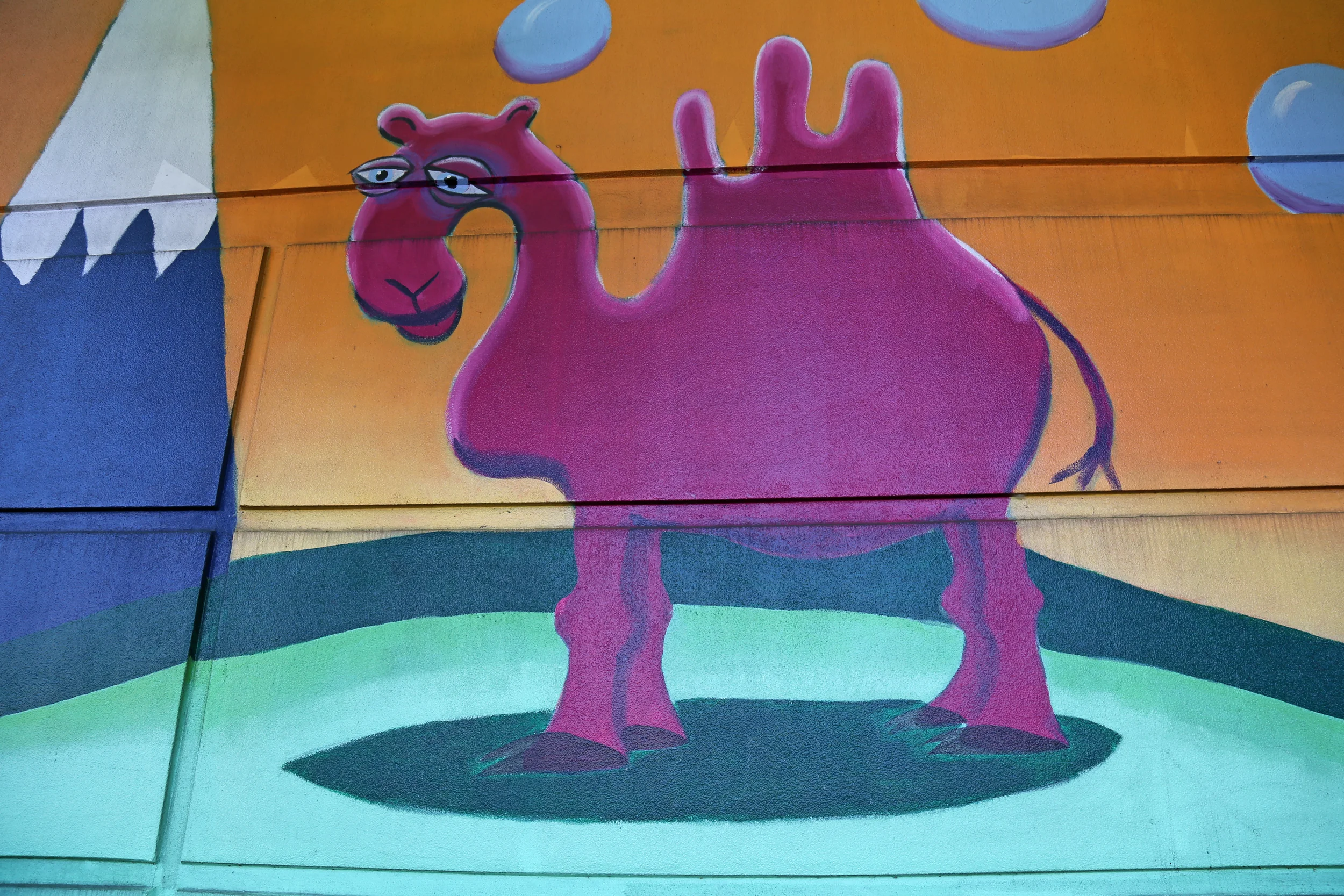 Camel found at Value Village at 8532 15th Ave. NW
