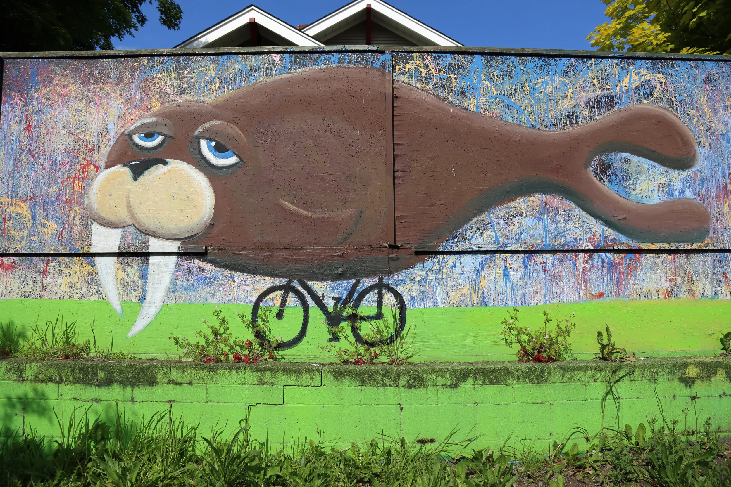 Walrus on a bike found at 8th Ave NW and NW 67th St.