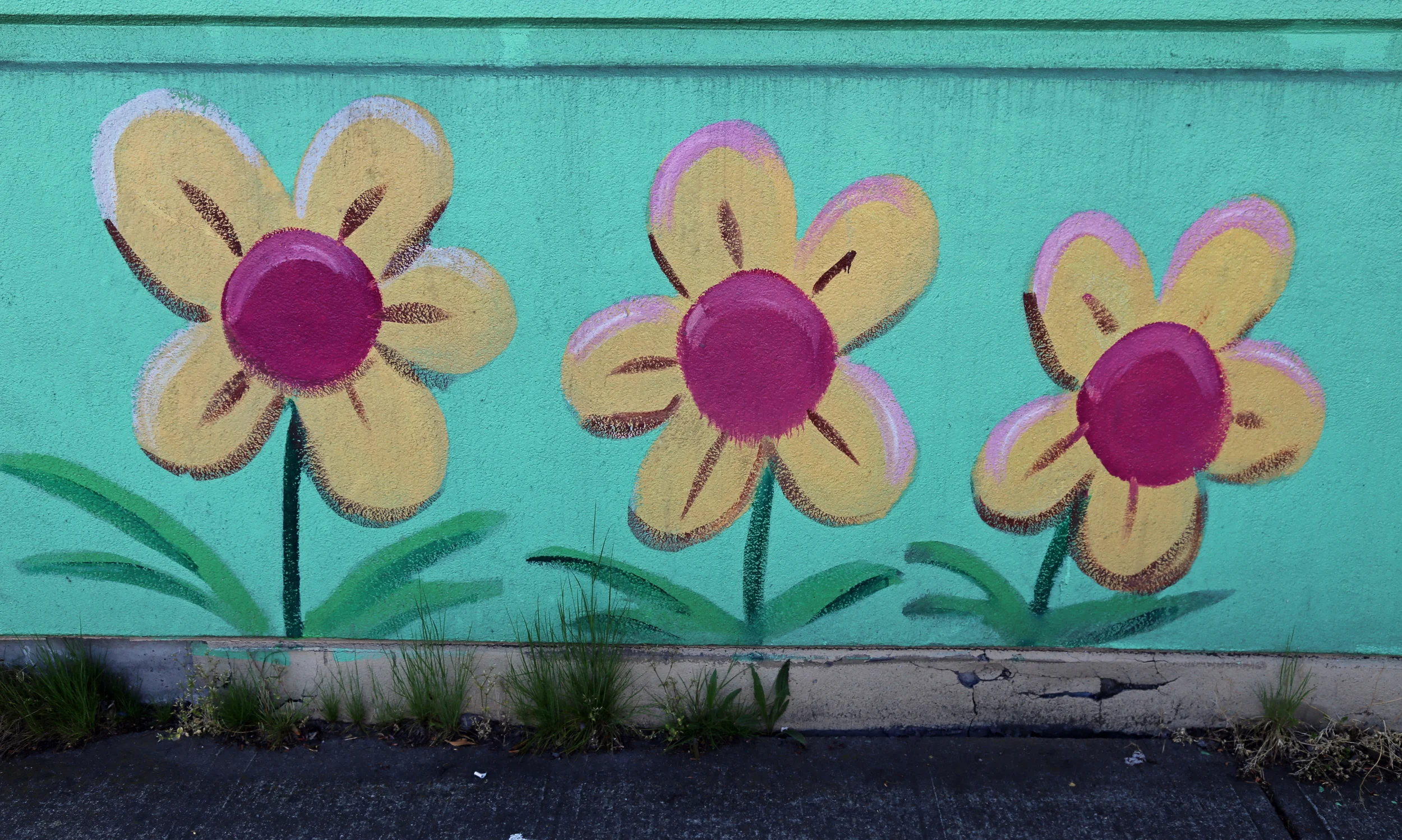 Flower details at the Value Village mural