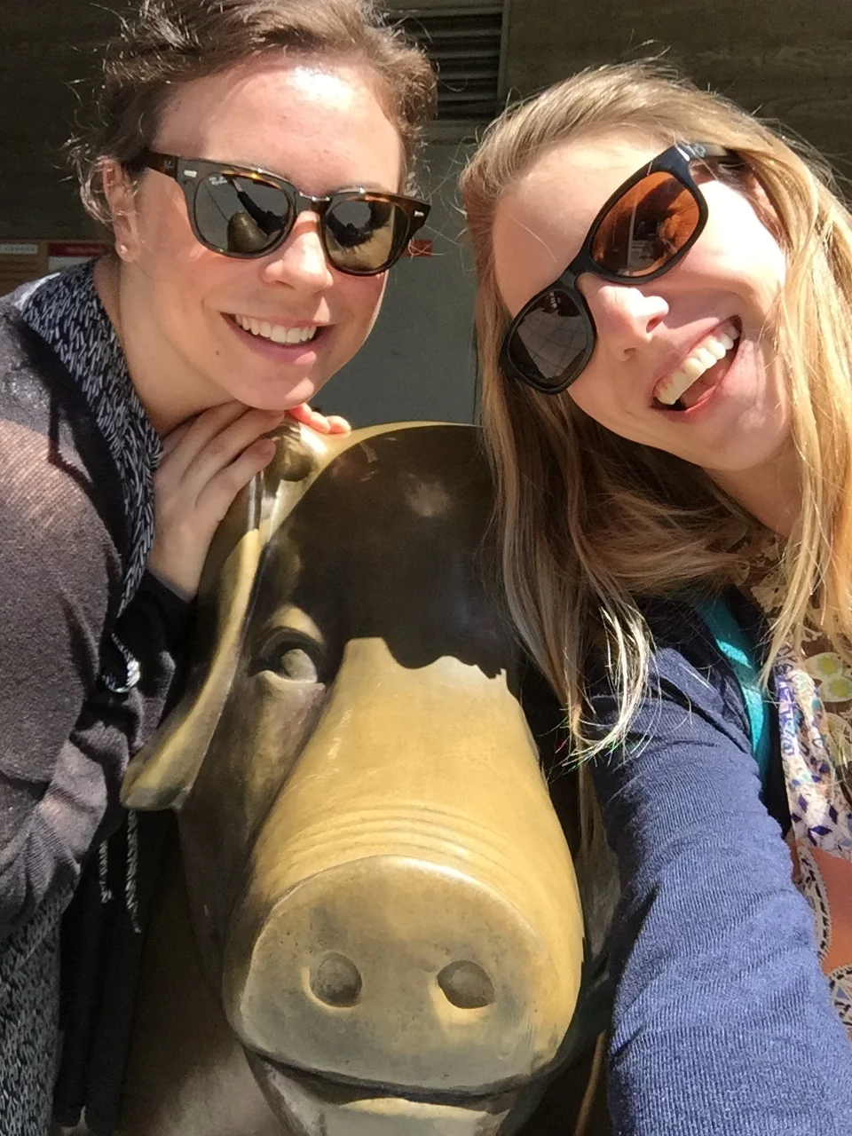 Billie Selfie!