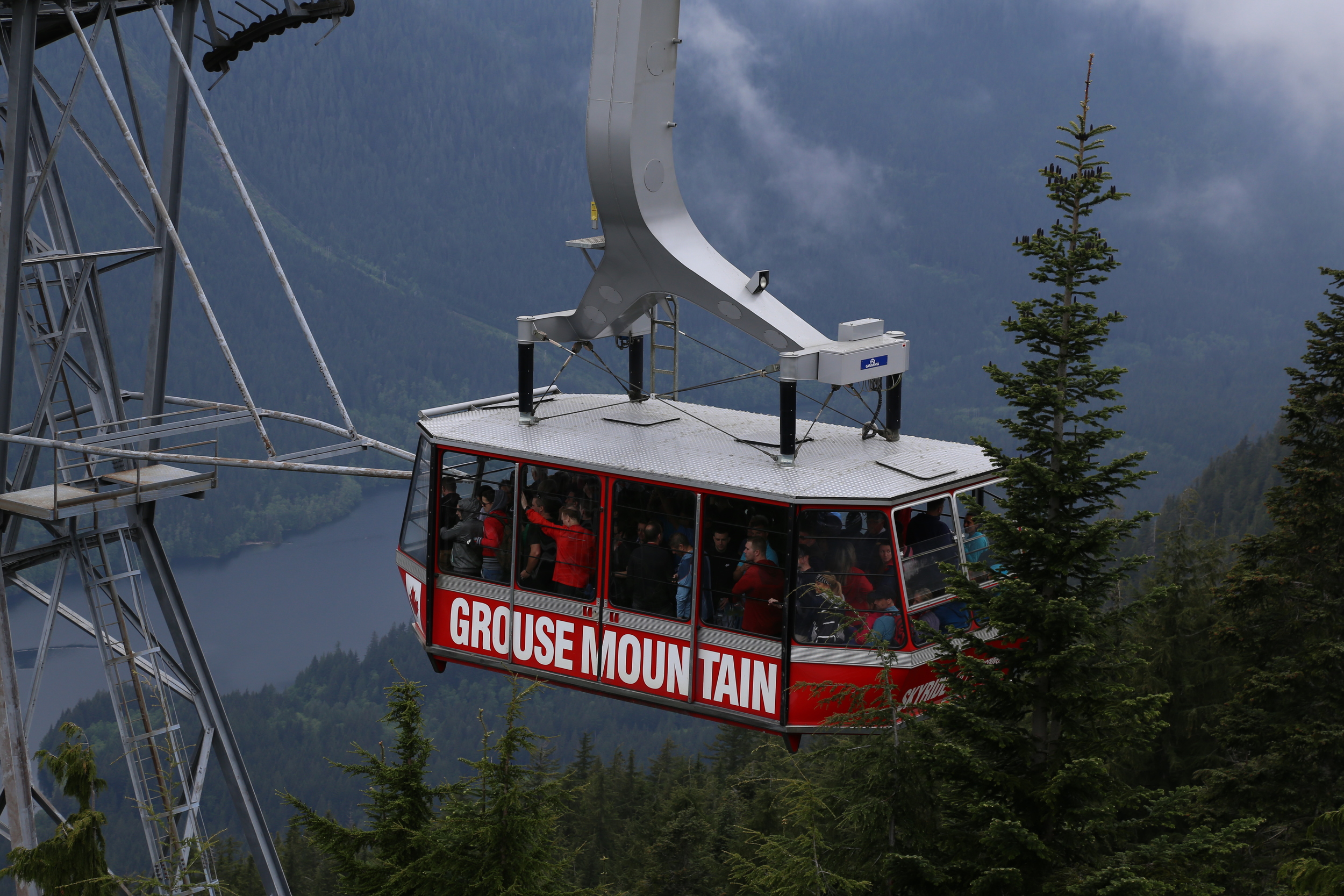 The best part is the gondola will take you down.