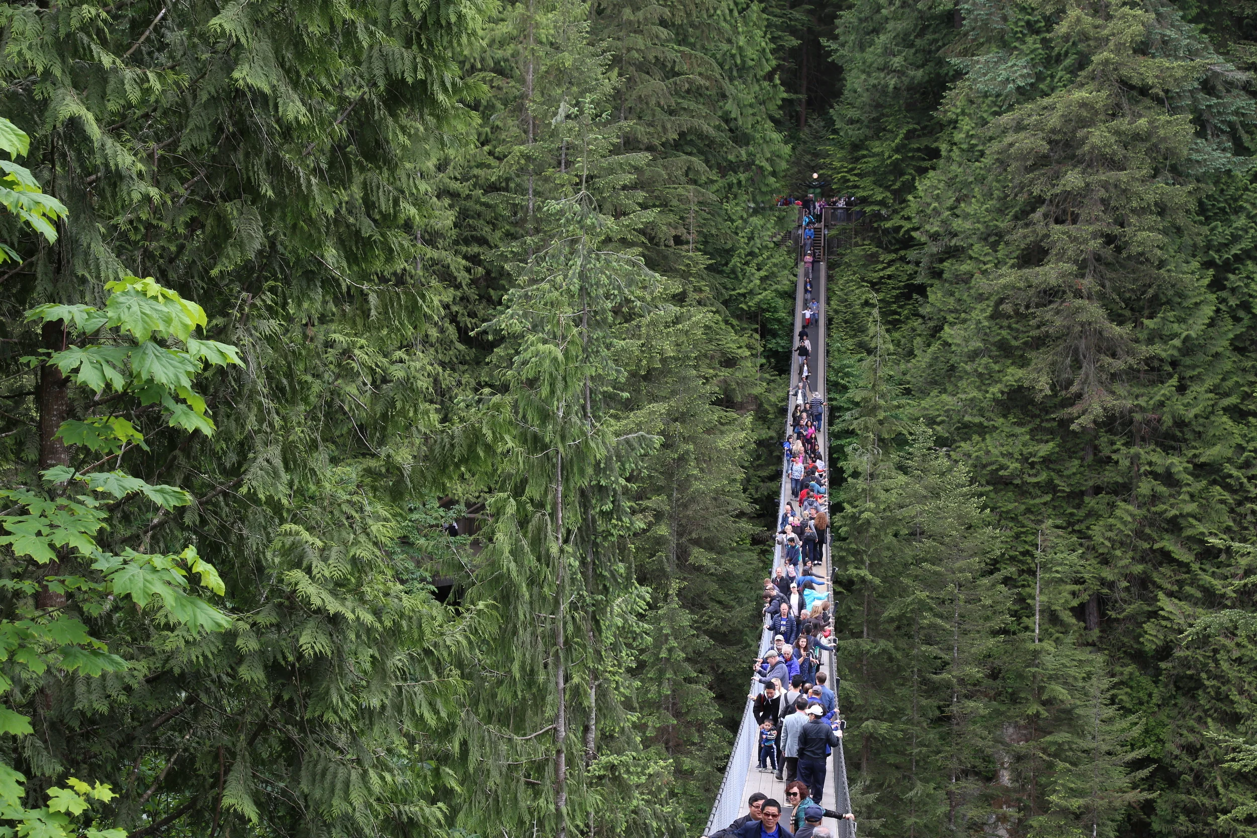Capilano Suspension Bridge Park