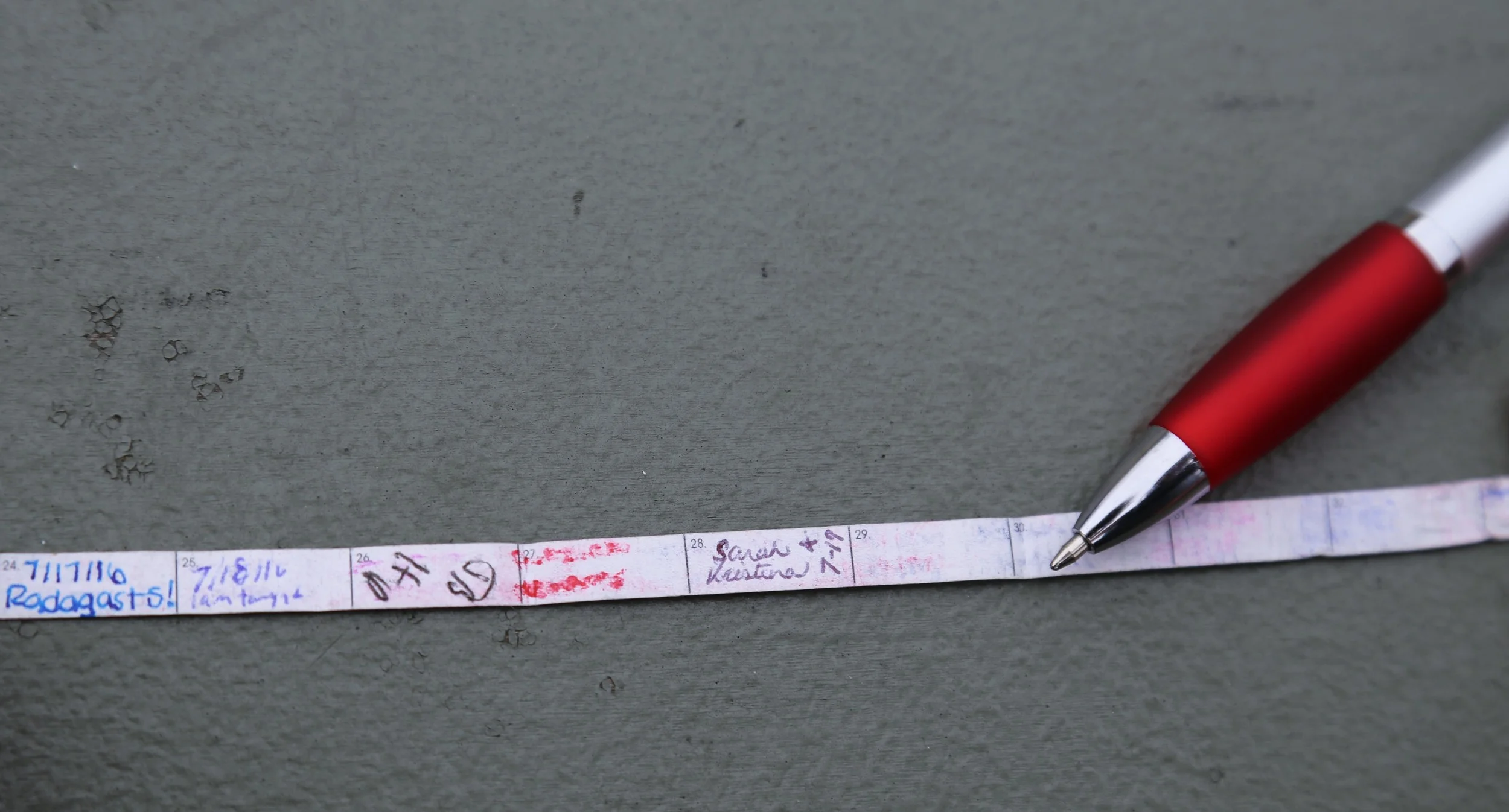Sign the cache (sometimes you need to bring your own pen)