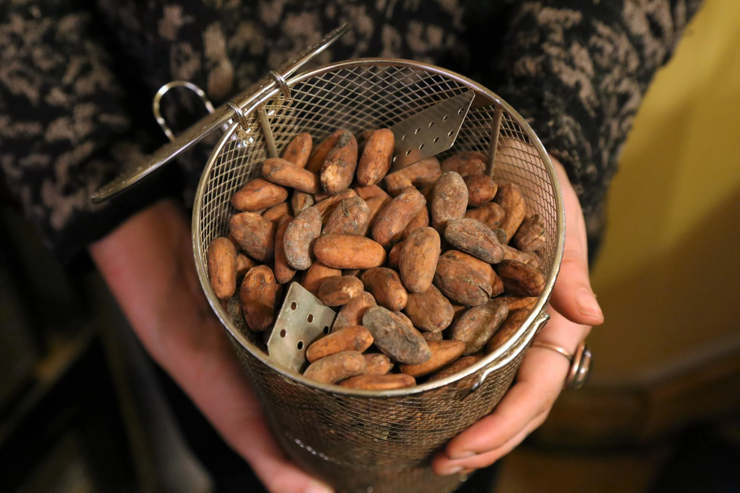 Cacao beans