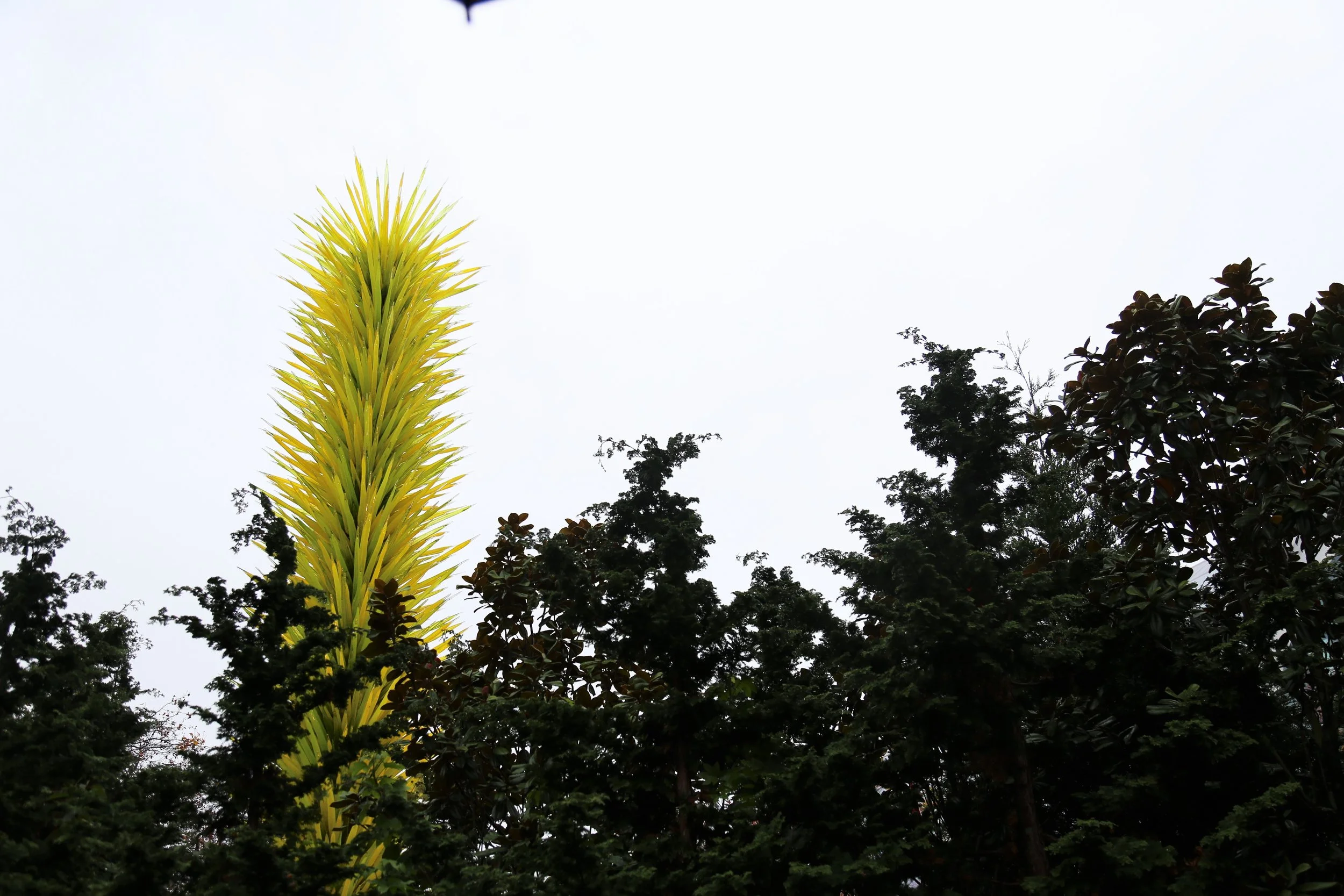Chihuly Garden and Glass