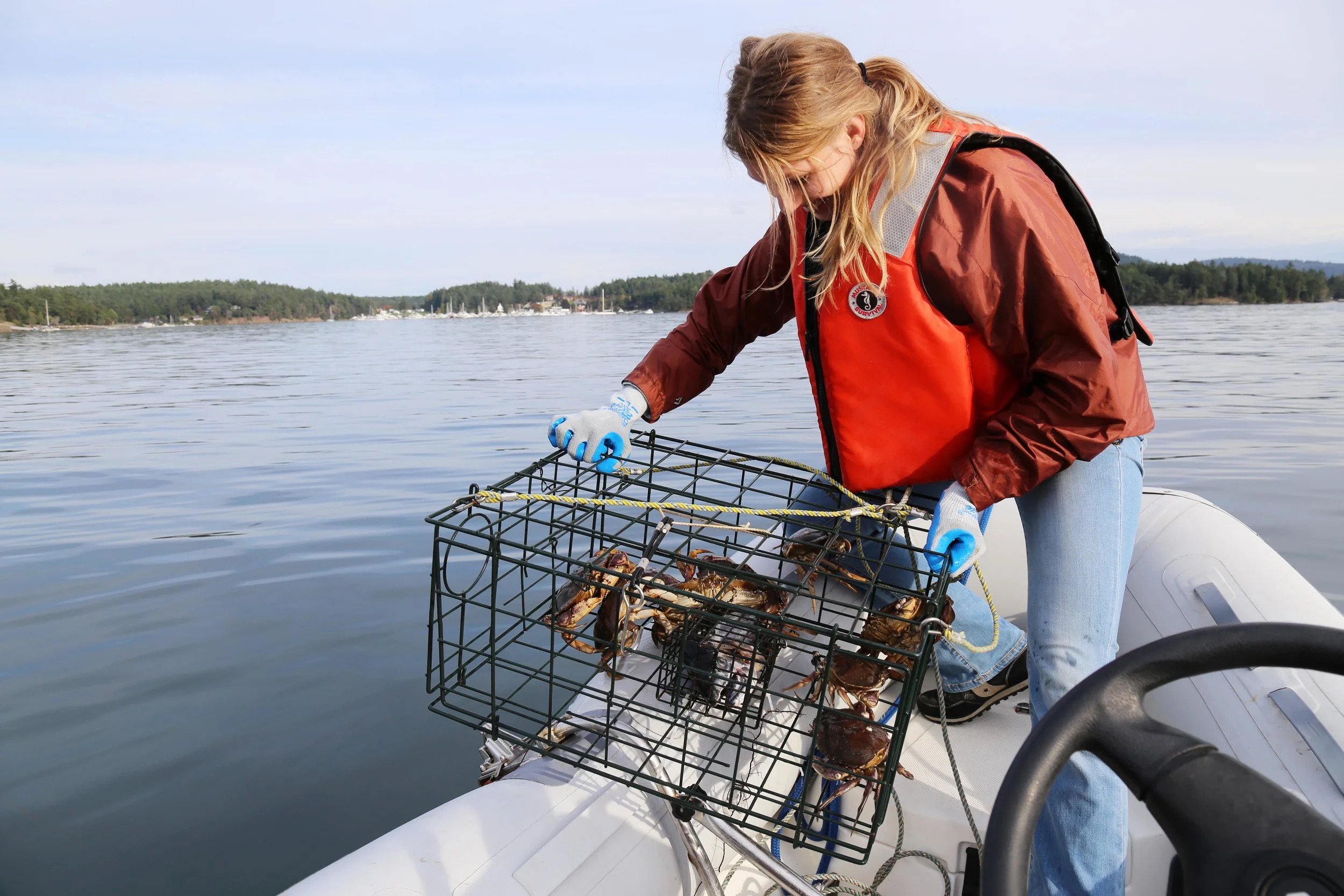 Crabbing