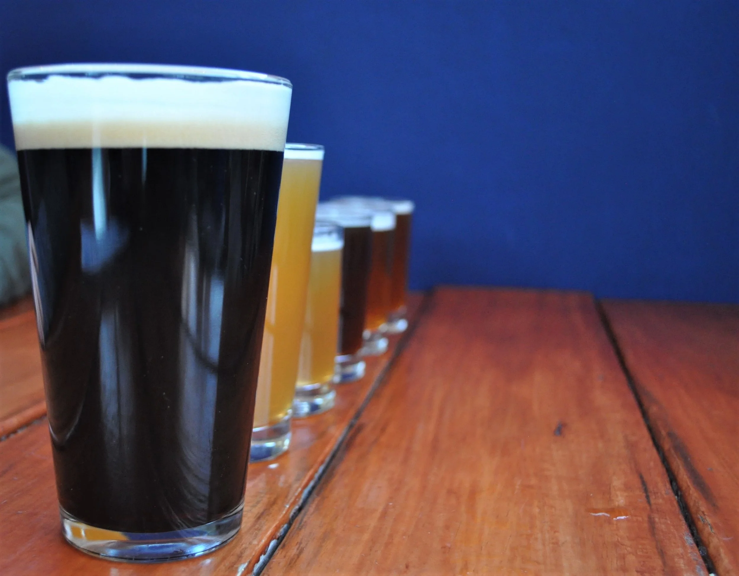 Our beer family. Papa, Momma, and four babies.
