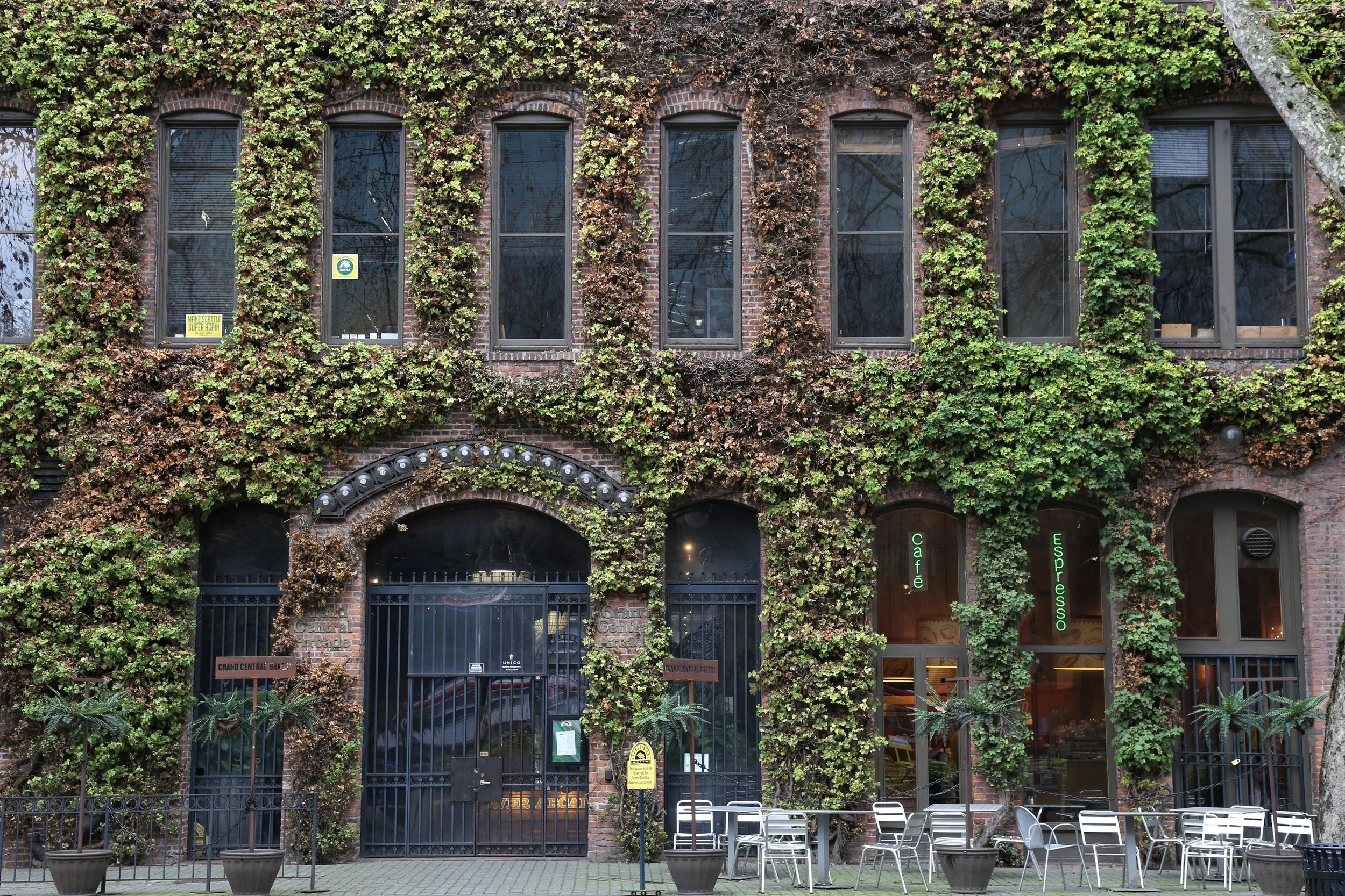 Look for the ivy entrance to Grand Central Bakery