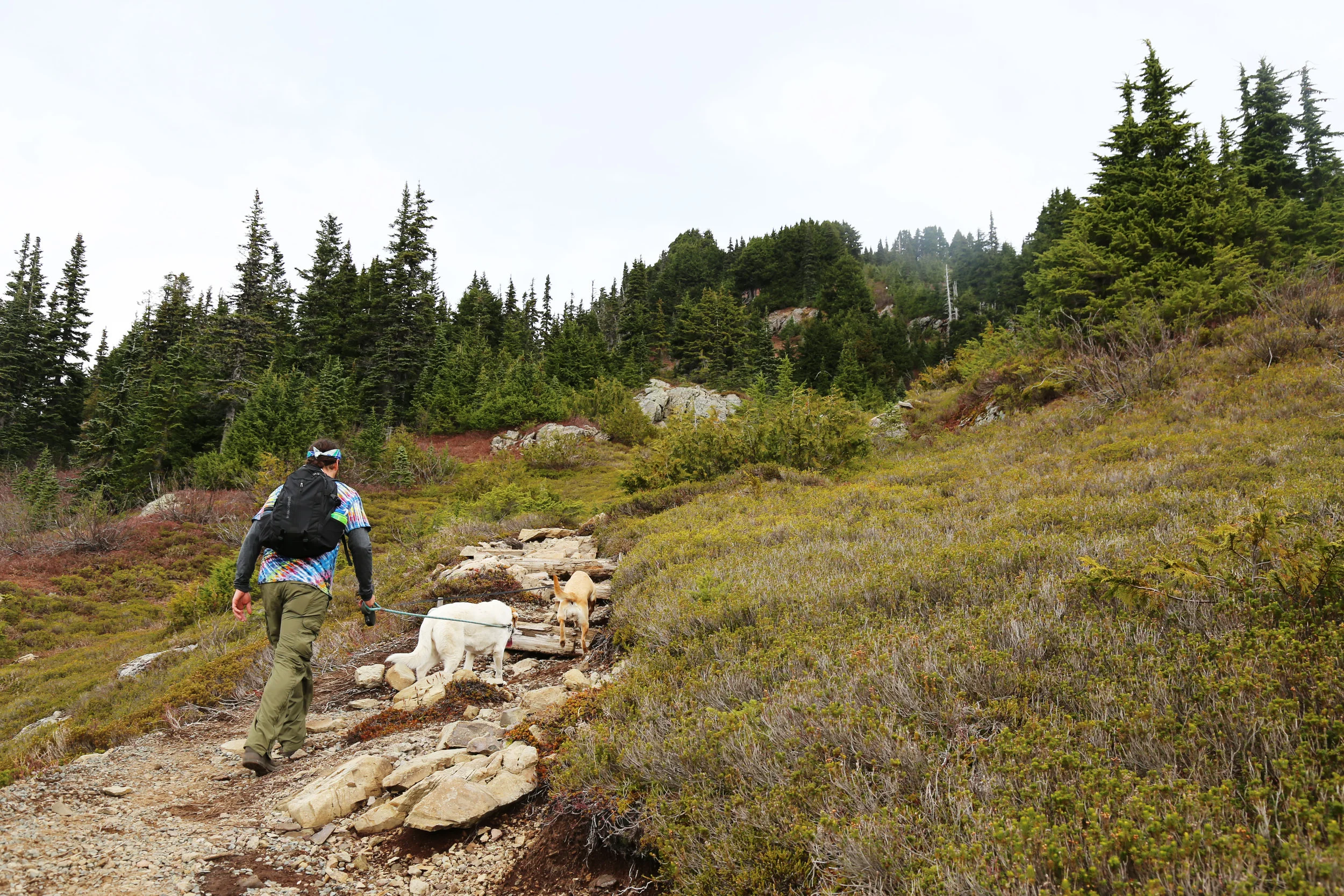 Take a Hike