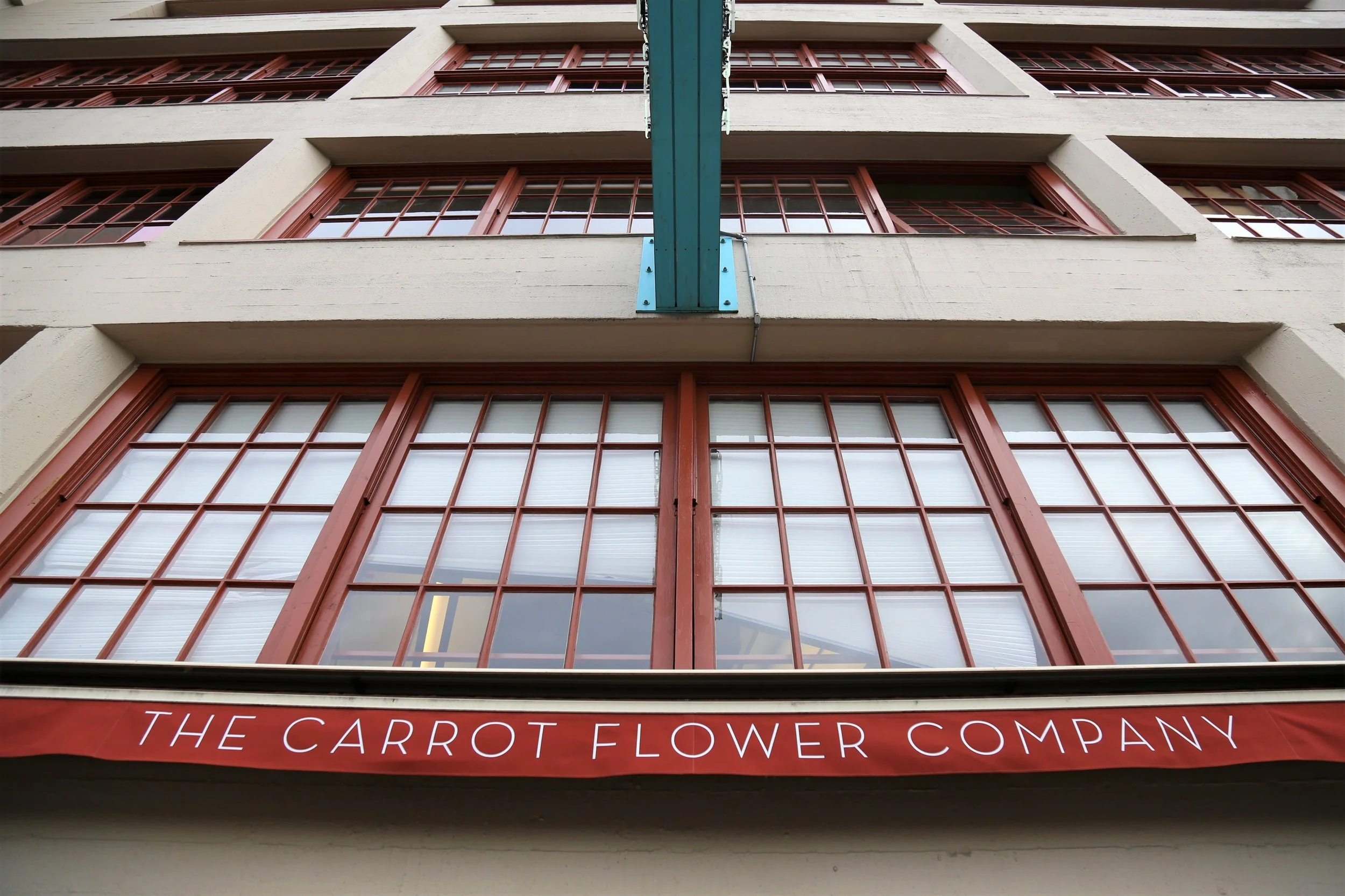 The Carrot Flower Company