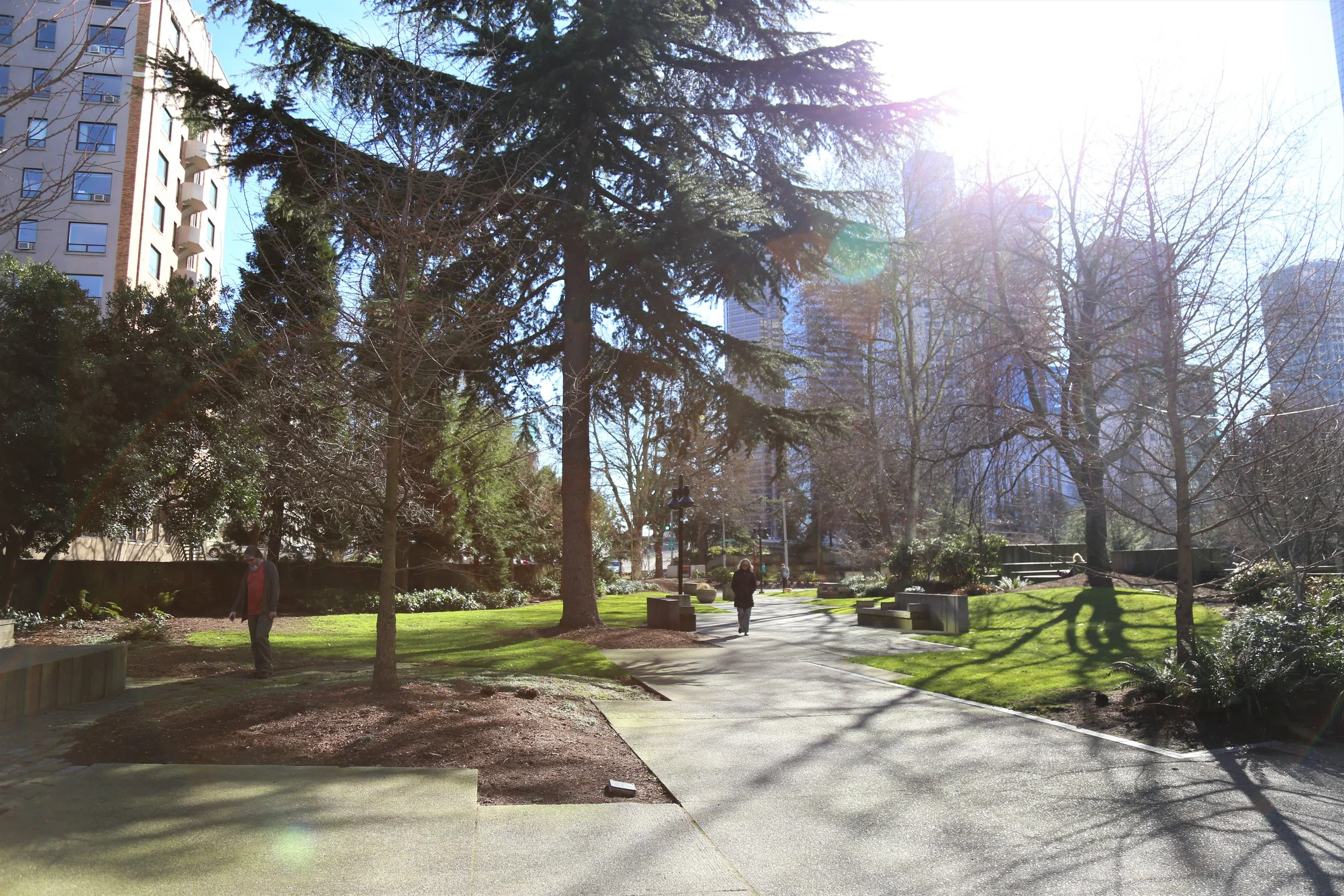 Freeway Park