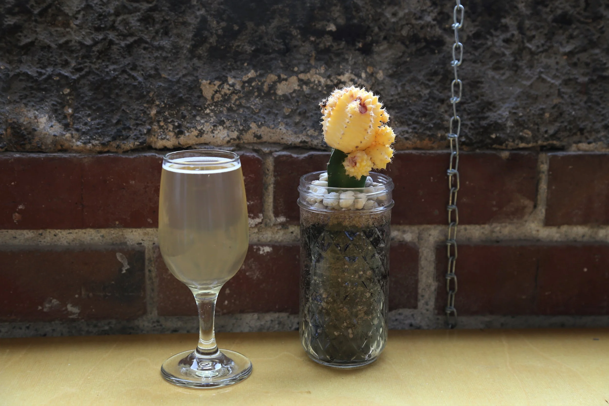 5 Reasons We Love CommuniTea