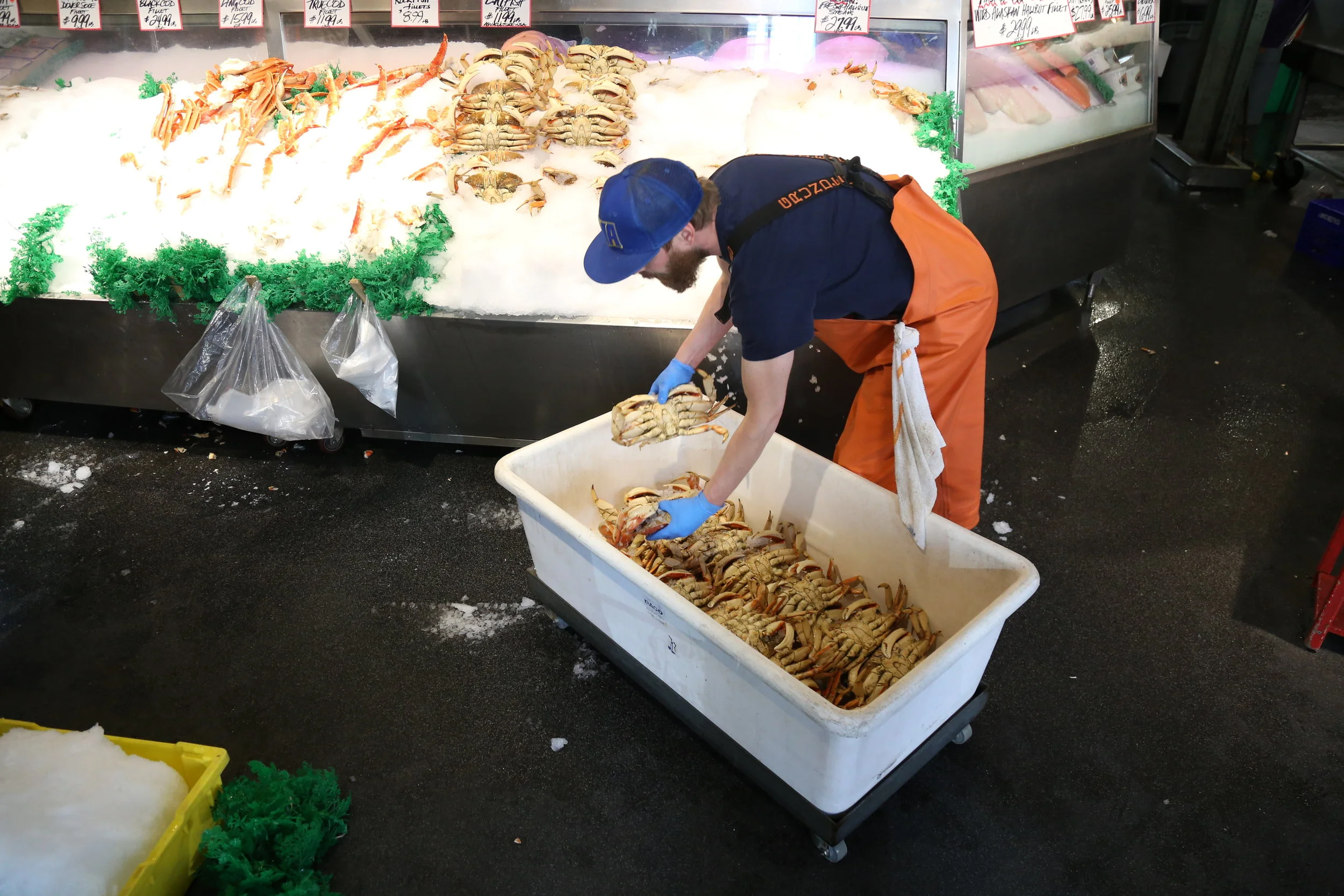 Ryan sets up the crab display