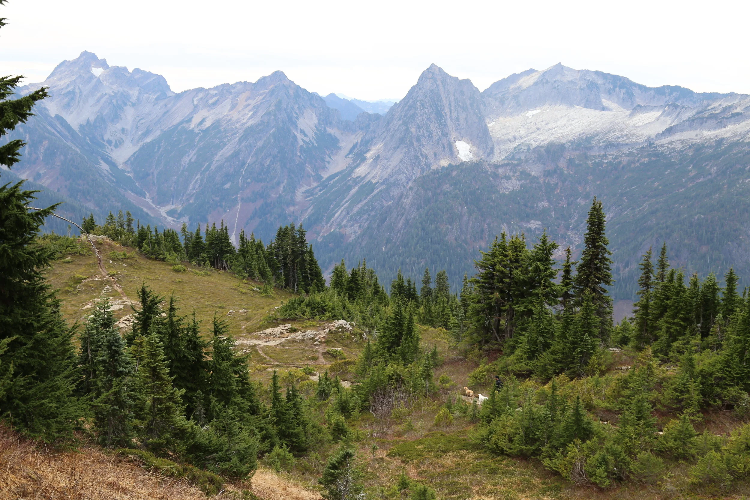 Mt. Dickerman