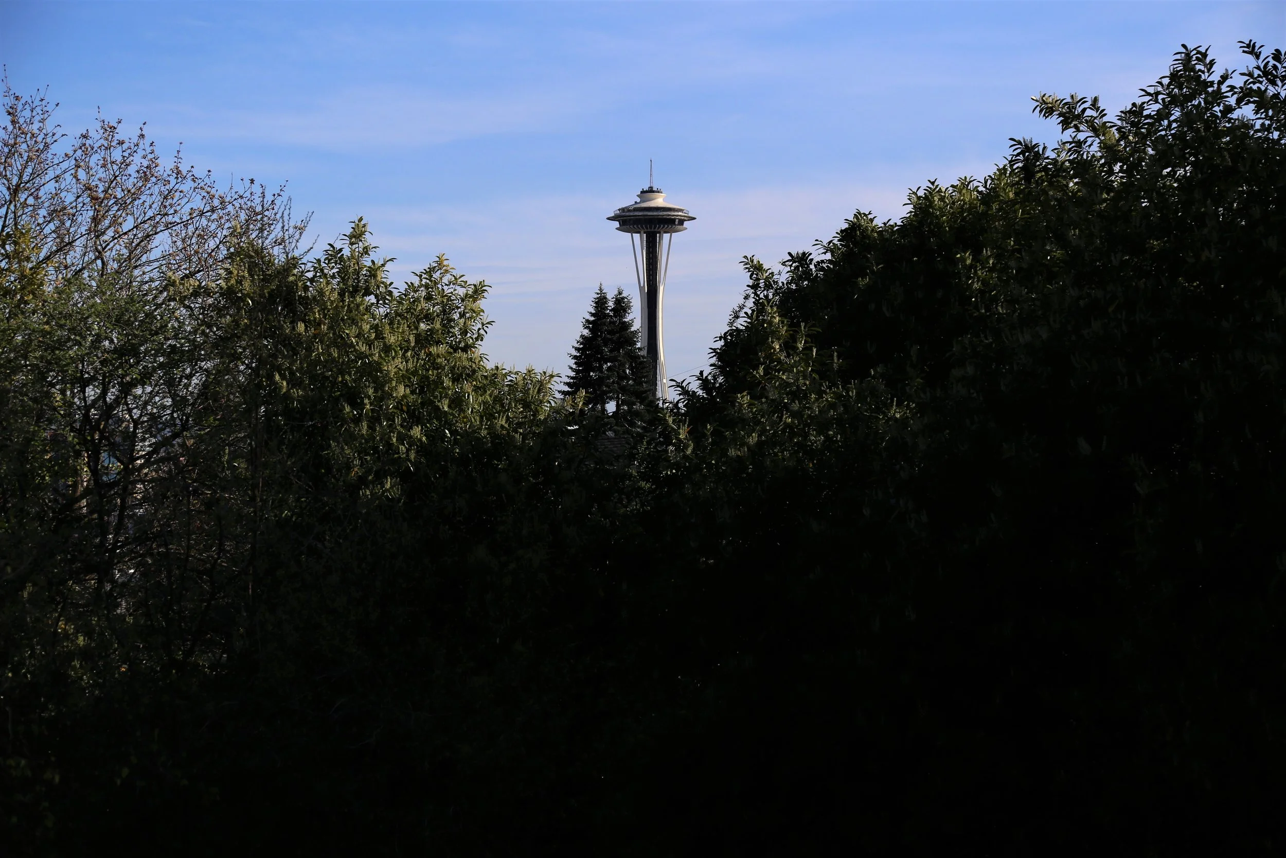 Bky Kracke Park