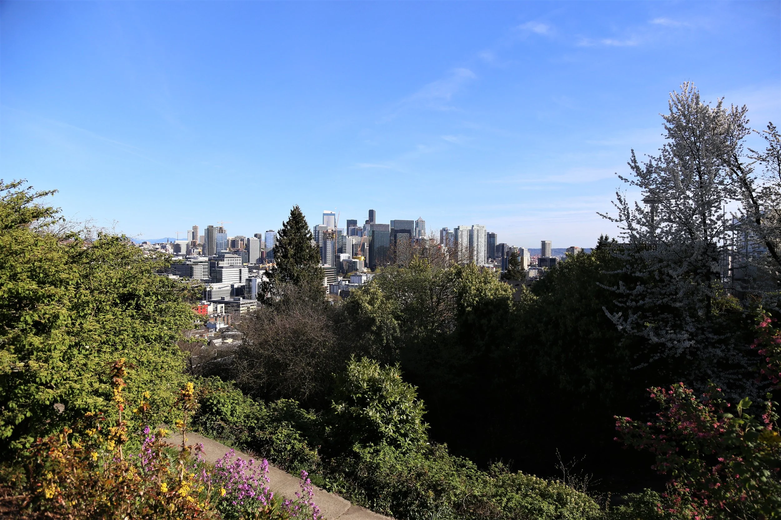 Bhy Kracke Park